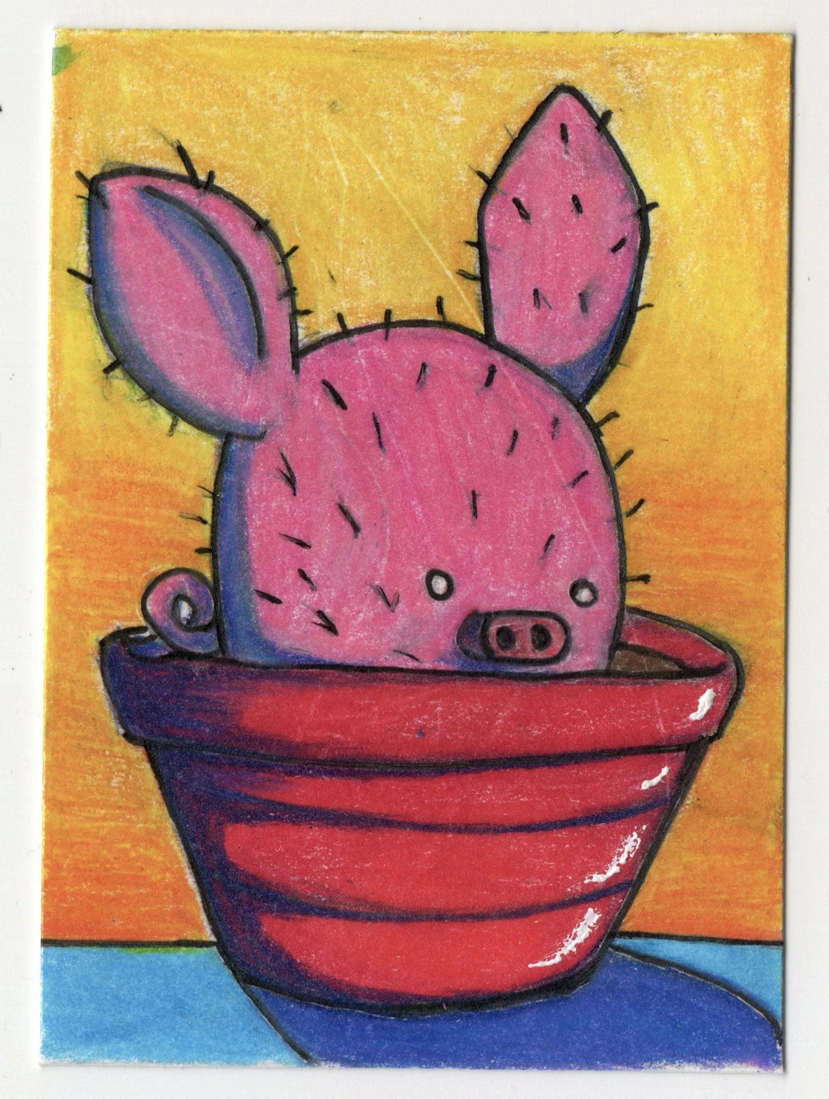 P-111	Piggy Cactus