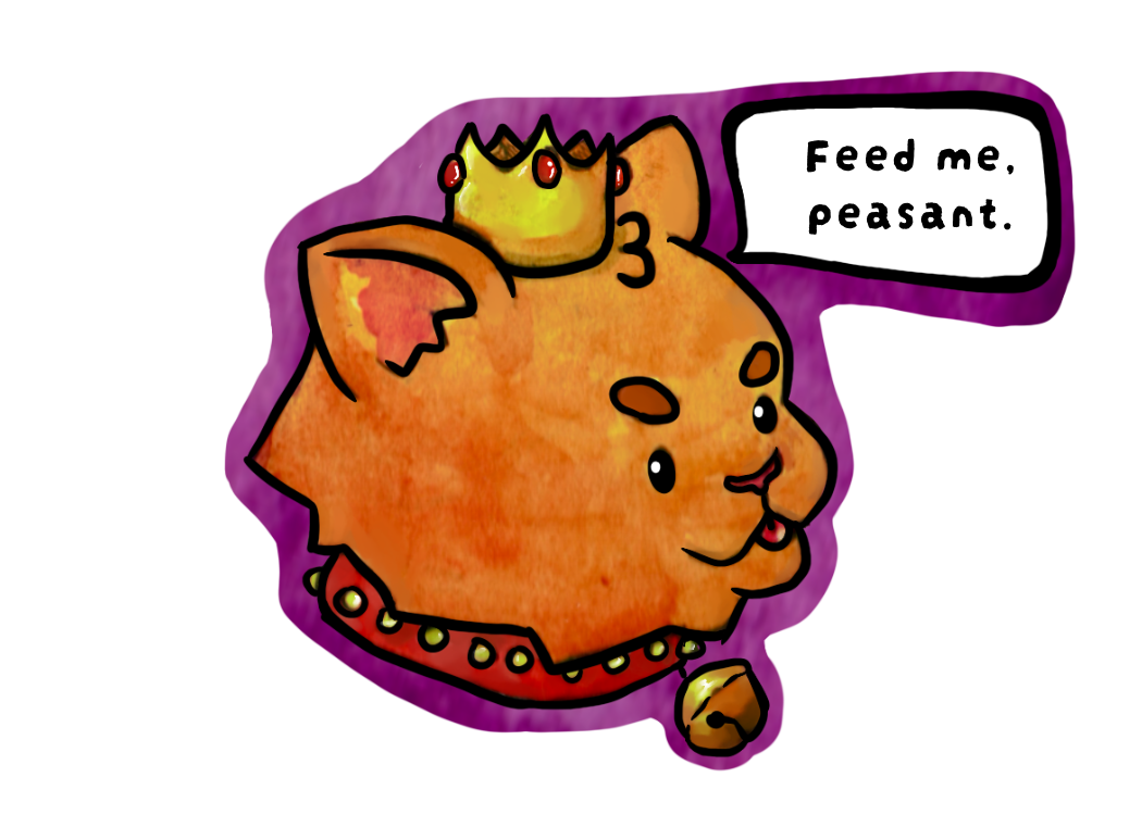 IMG_0451.PNG