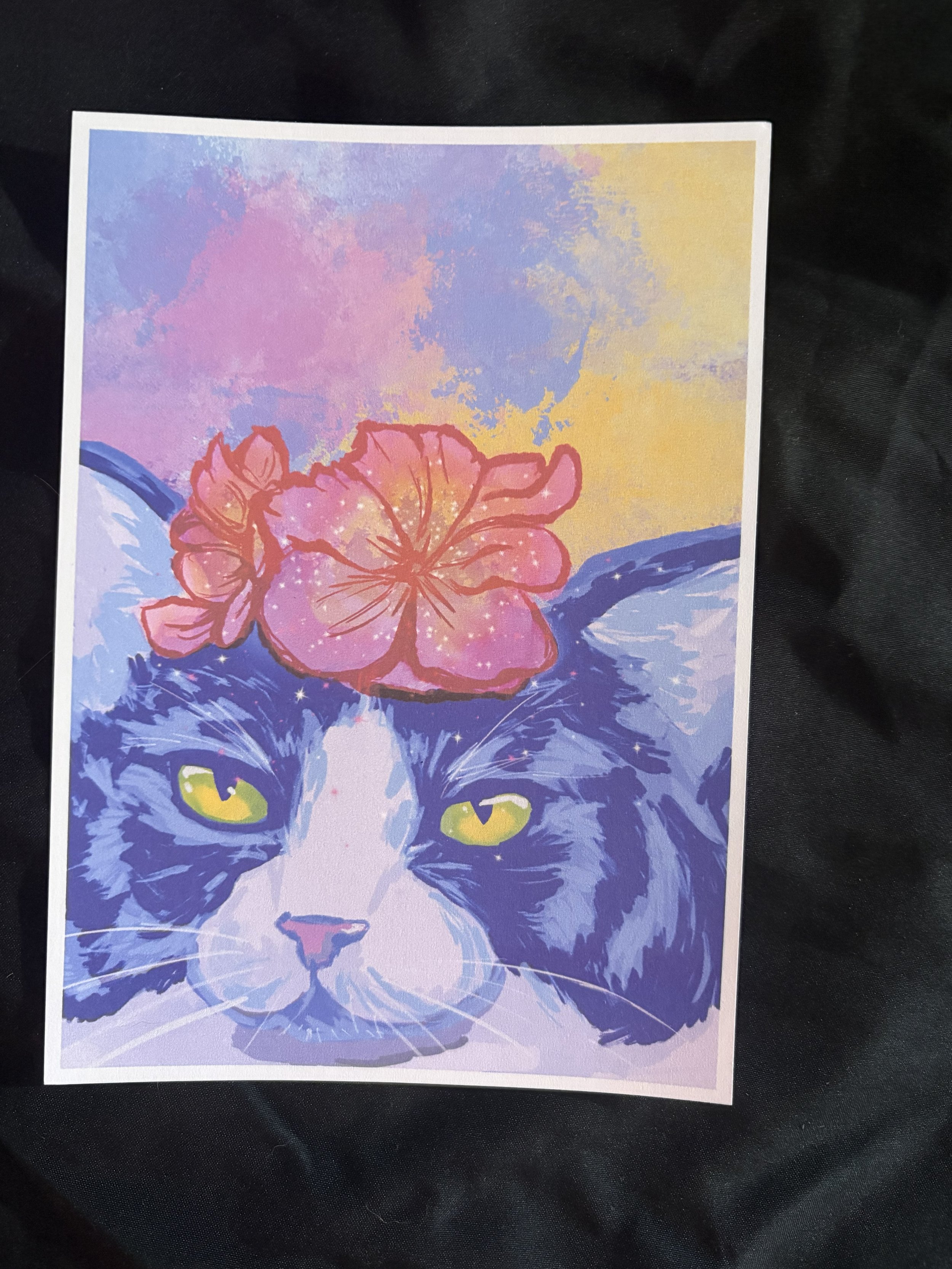 Spring Cat PC Front.jpg