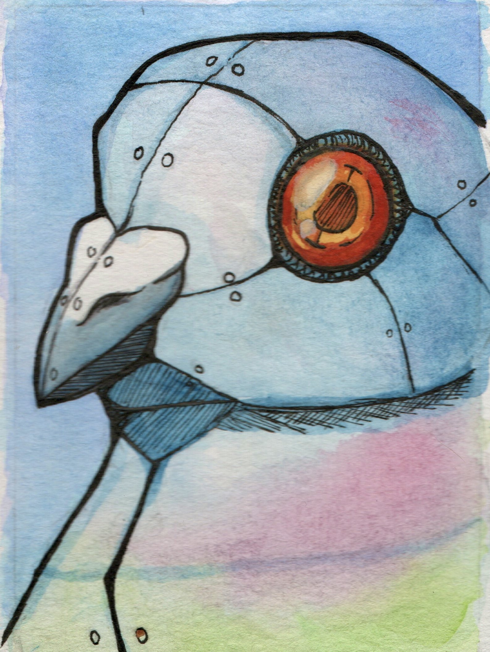 P-61	Surveillance Pigeon