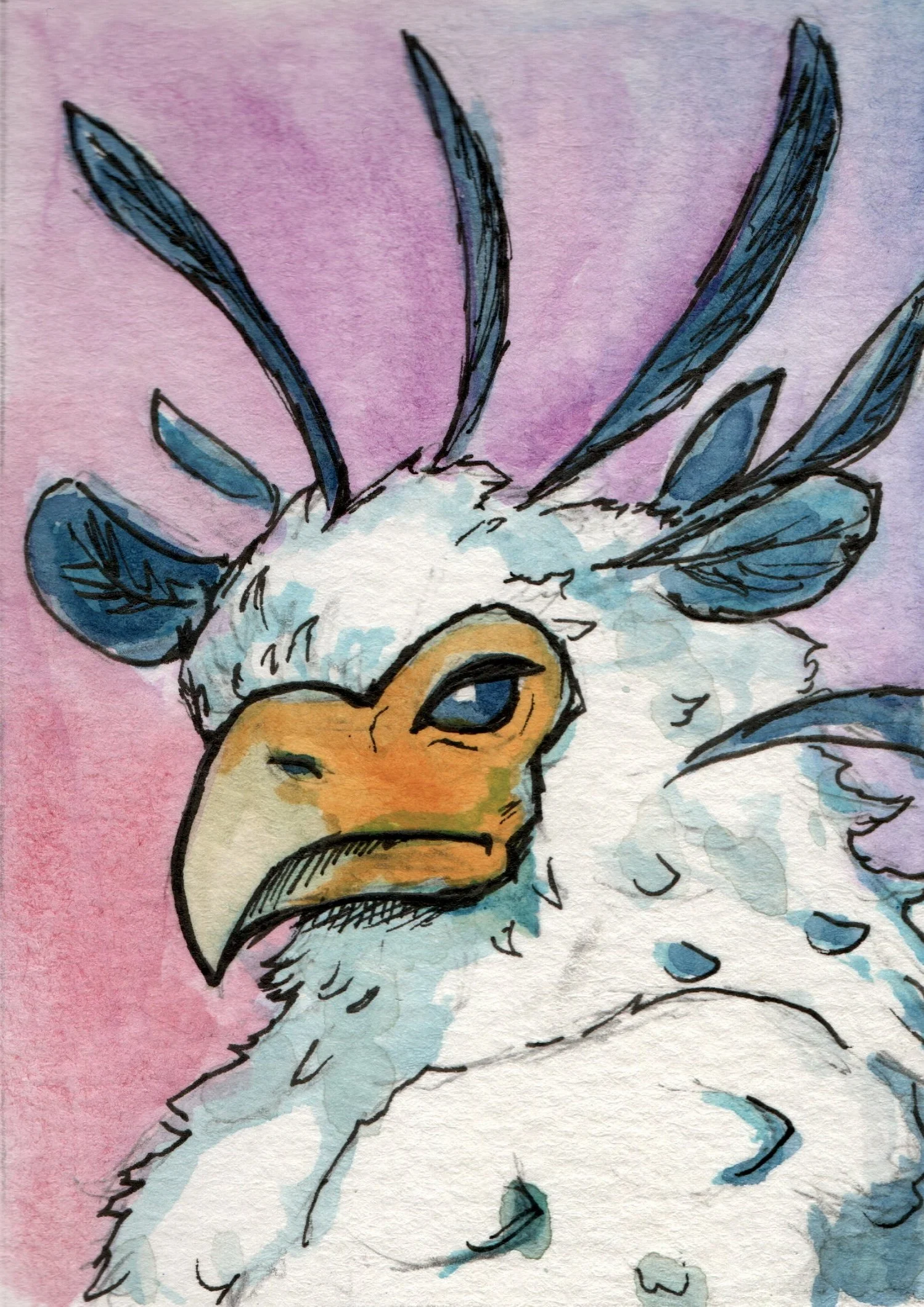 P-51	Secretarybird