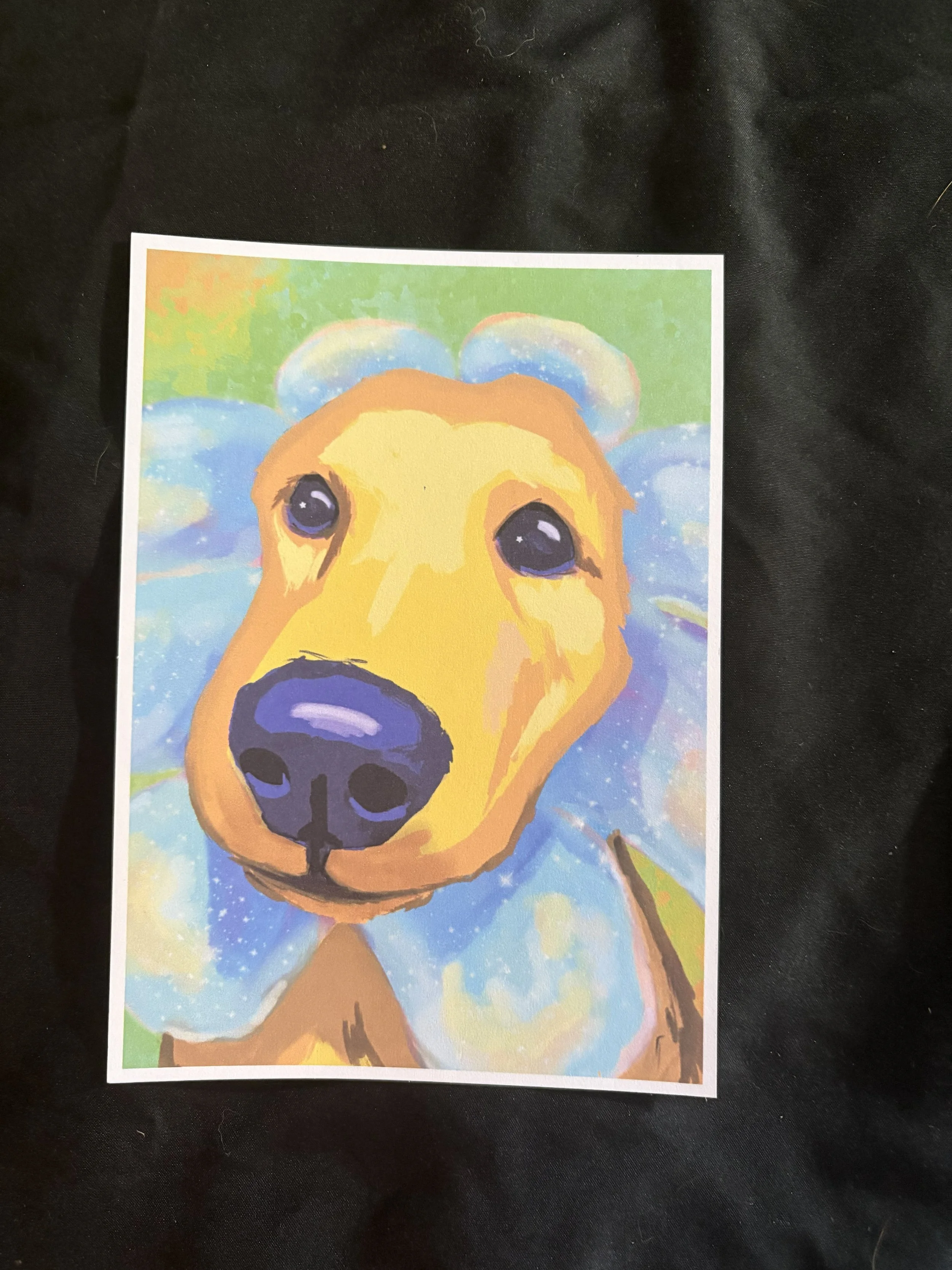 Spring Dog PC Front.jpg