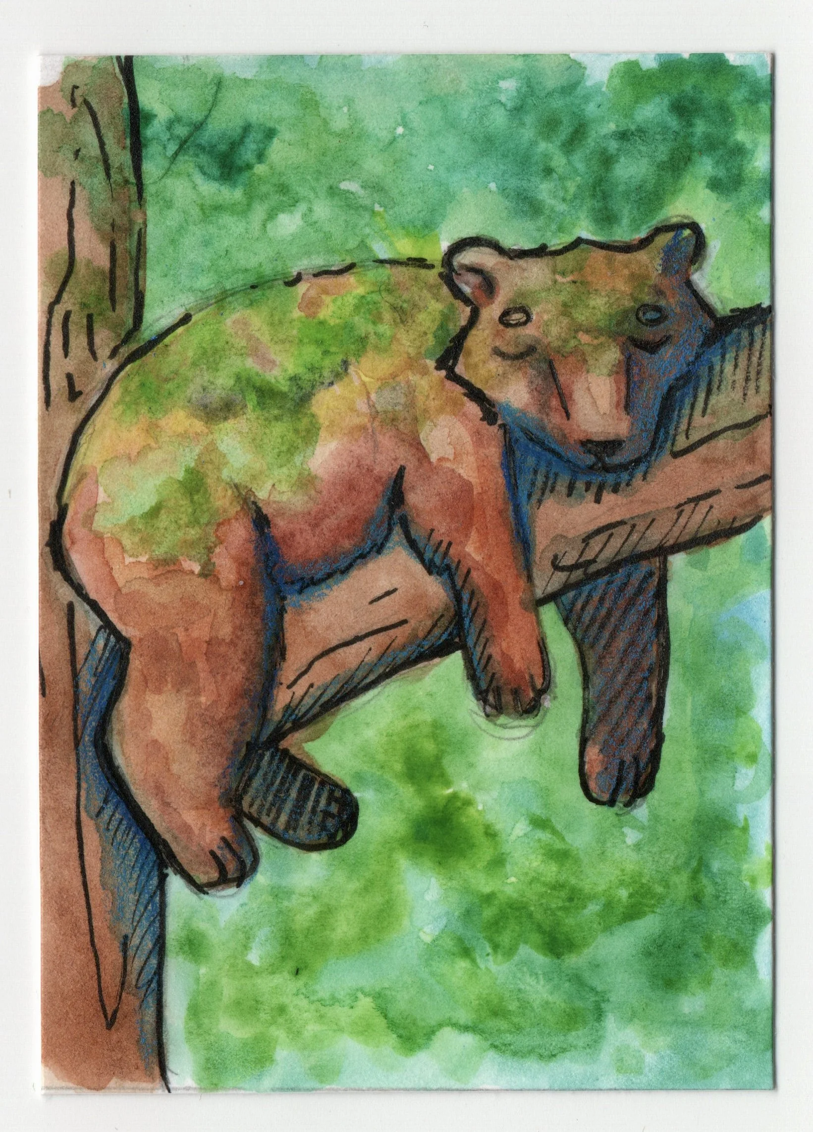 P-109	A Bear-y Cozy Nap