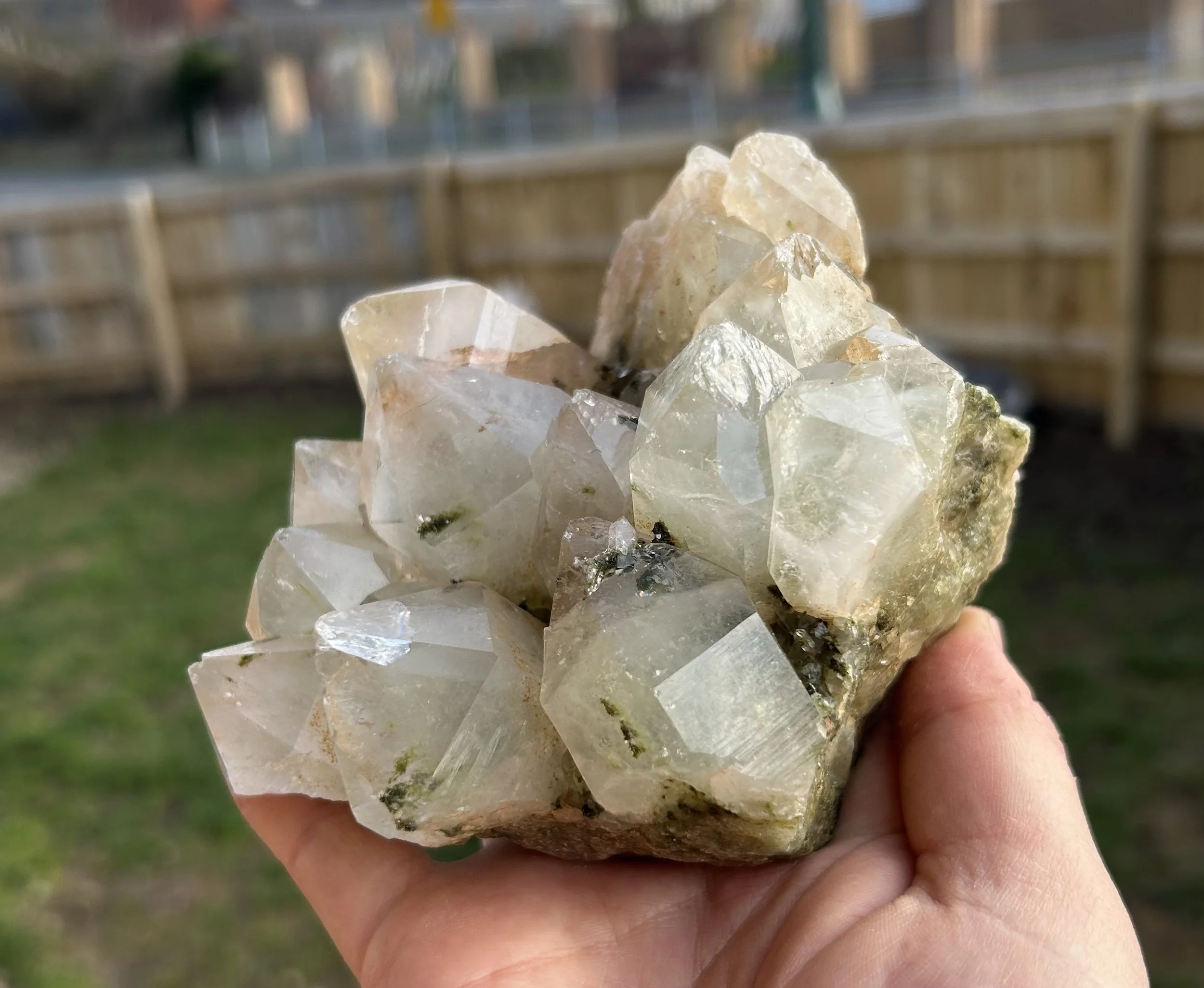 Forest quartz specimen