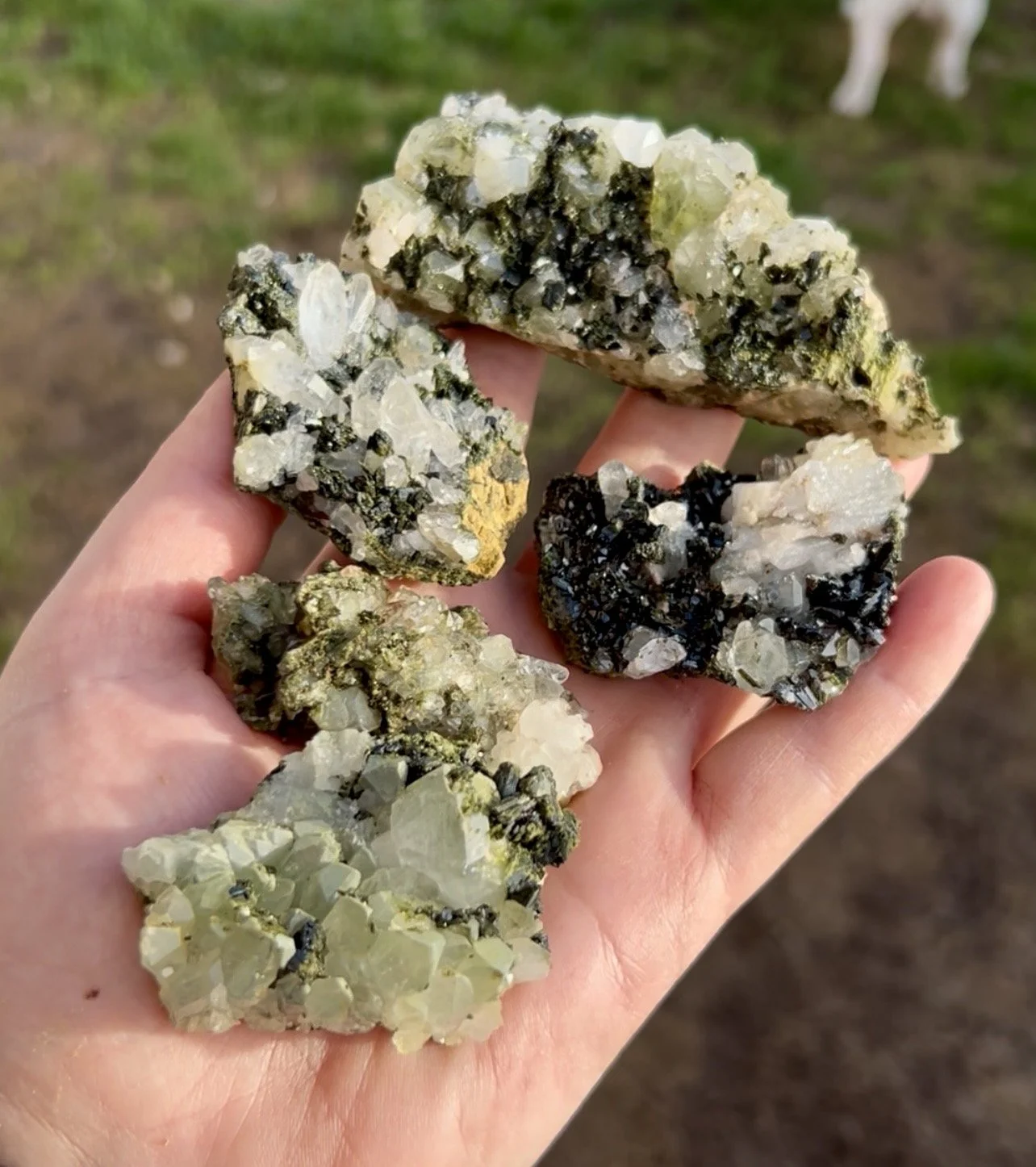 intuitively picked forest quartz