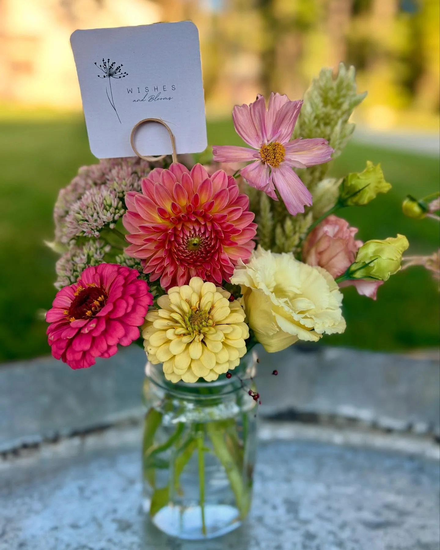 This cooler weather has the flowers all π
Visit the Bloom Cart til sunset today and all weekend as long as supplies last. 
3971 Umbarger Ln
Look for the signs on Taft
$30 each via Venmo or exact change.