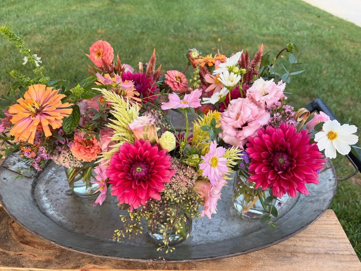 Be nice to someone today. Even if that someone is YOU! 
Bloom Cart has fall flavored flowers starting to appear. Stop by today, tomorrow, or Sunday (though if you wait that long, they might be gone).
3971 Umbarger Ln
Look for the signs on Taft
$30