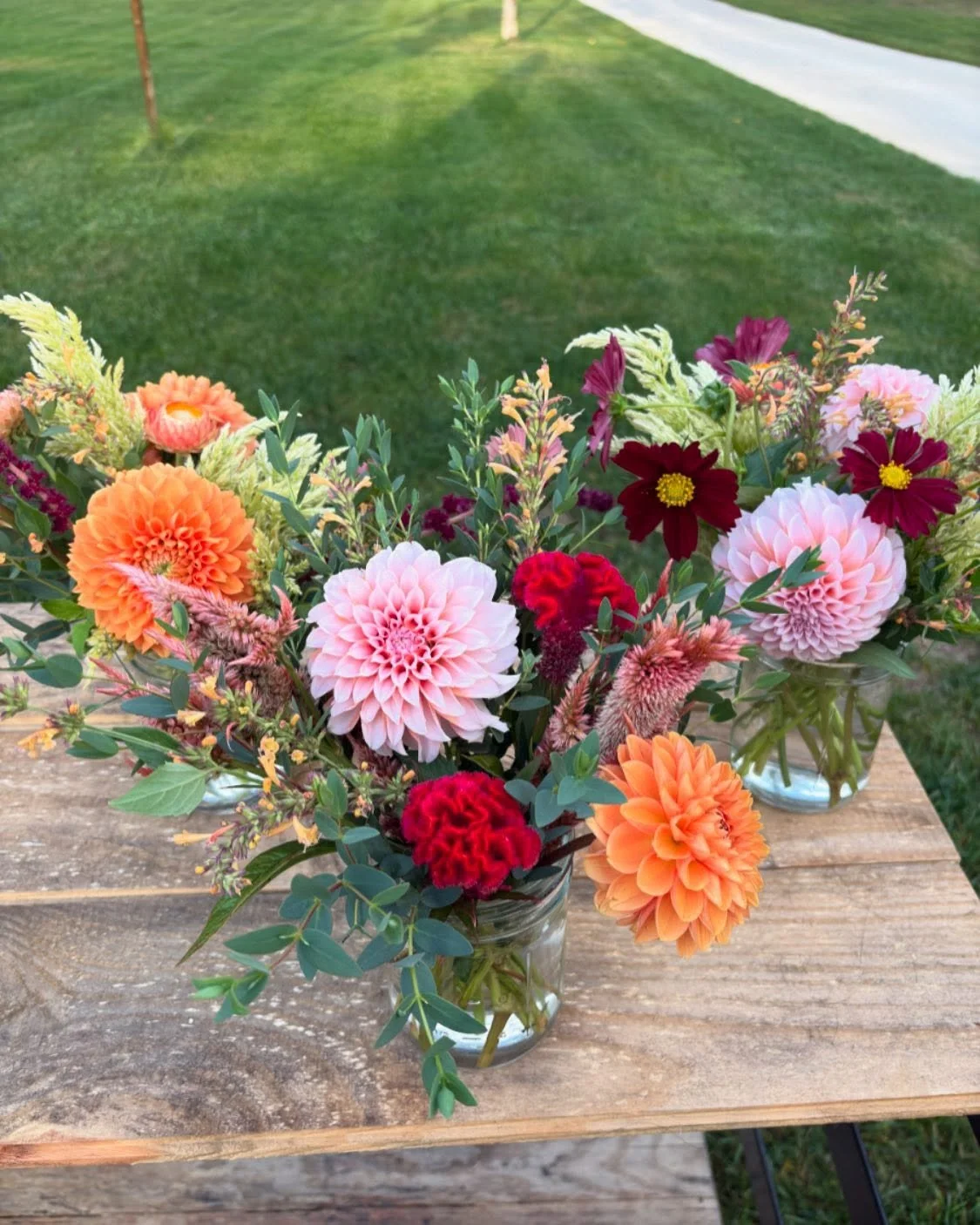 Surprise! The Bloom Cart is open today. Why? Because Mondays deserve flowers too, silly! 
Swing by and grab a bouquet. See you soon!
3971 Umbarger Ln.
$30 via Venmo or exact cash
Look for the signs on Taft