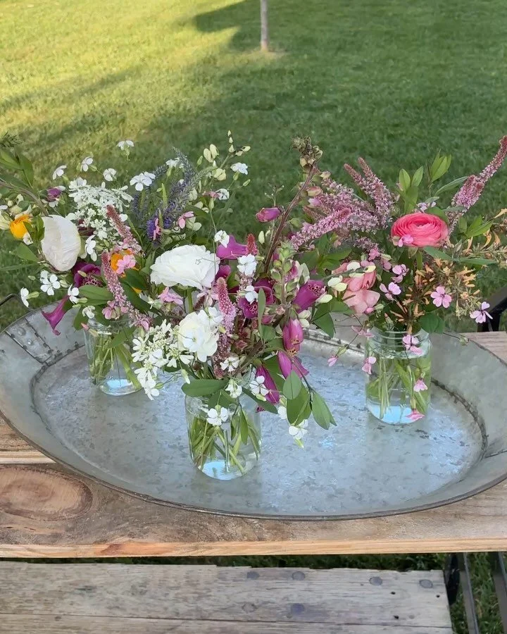 Here&rsquo;s your hit of Spring. Signal Mountain locals, the Bloom Cart is open! 

3971 Umbarger Ln.
Follow the signs on Taft

$35 each via Venmo or exact cash.