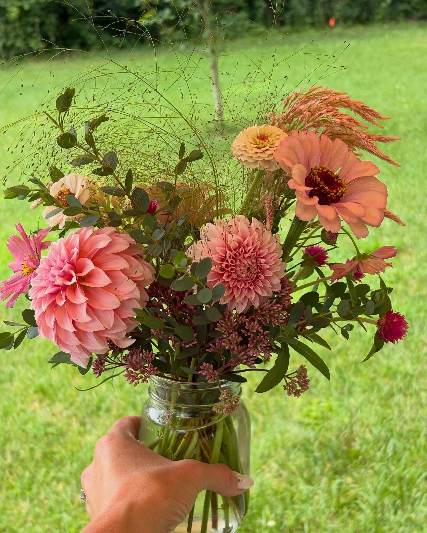 Know who&rsquo;s NOT tired of all this rain? Flowers! 

Bloom Cart is out with some lovely home grown and local flowers. Look for the signs on Taft.

3971 Umbarger Ln., Signal Mountain