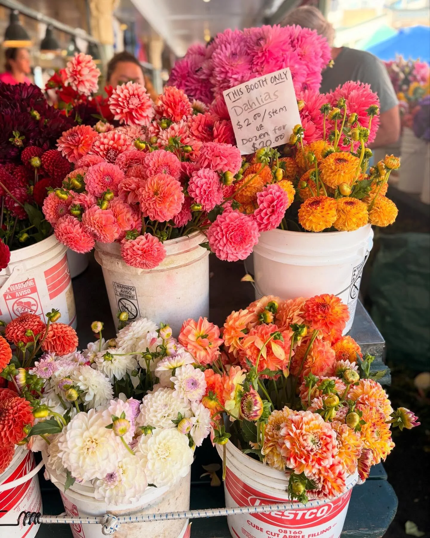 Dahlias as big as baby heads! #publicmarketseattle