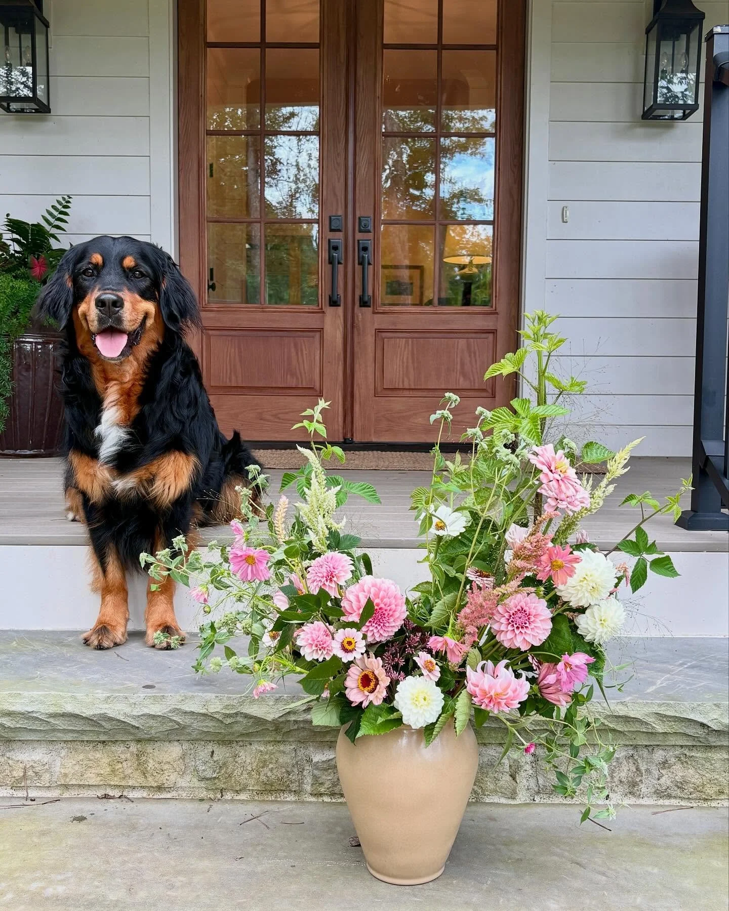 Is there a better combo than dogs and flowers? Nope. #nationaldogday