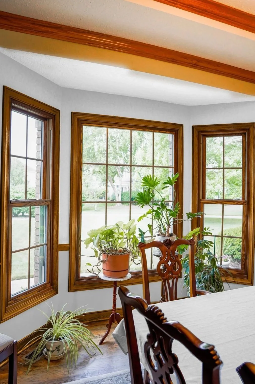 A dining room with three windows with wooden frames, a white ceiling with wooden beams, a rocking chair, potted plants on a stand and the floor, with views of a green lawn outdoor.