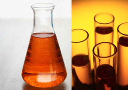 Sewall Marine Surveying at the NAMS Conference