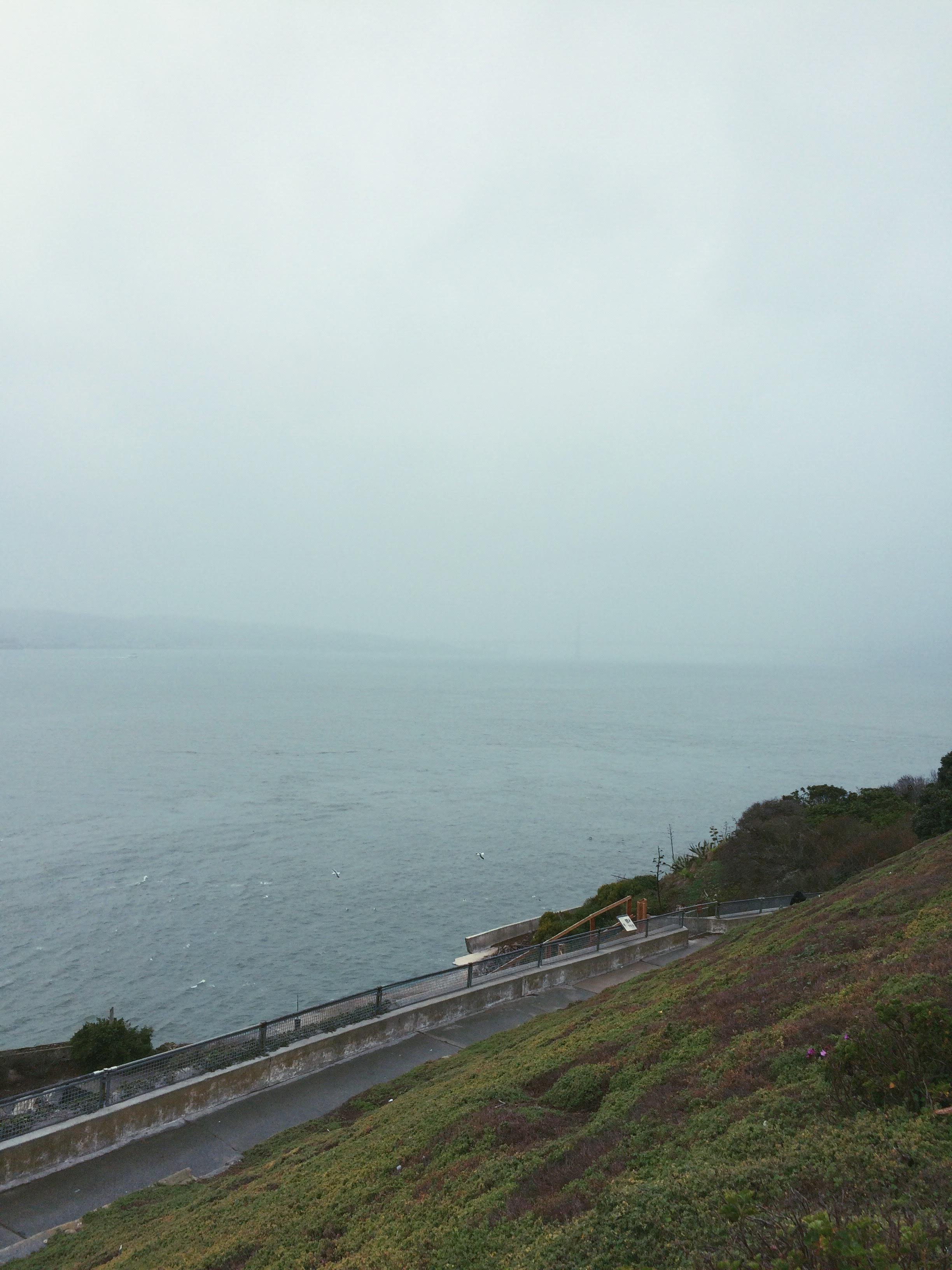 Seaside, Alcatraz, 2016