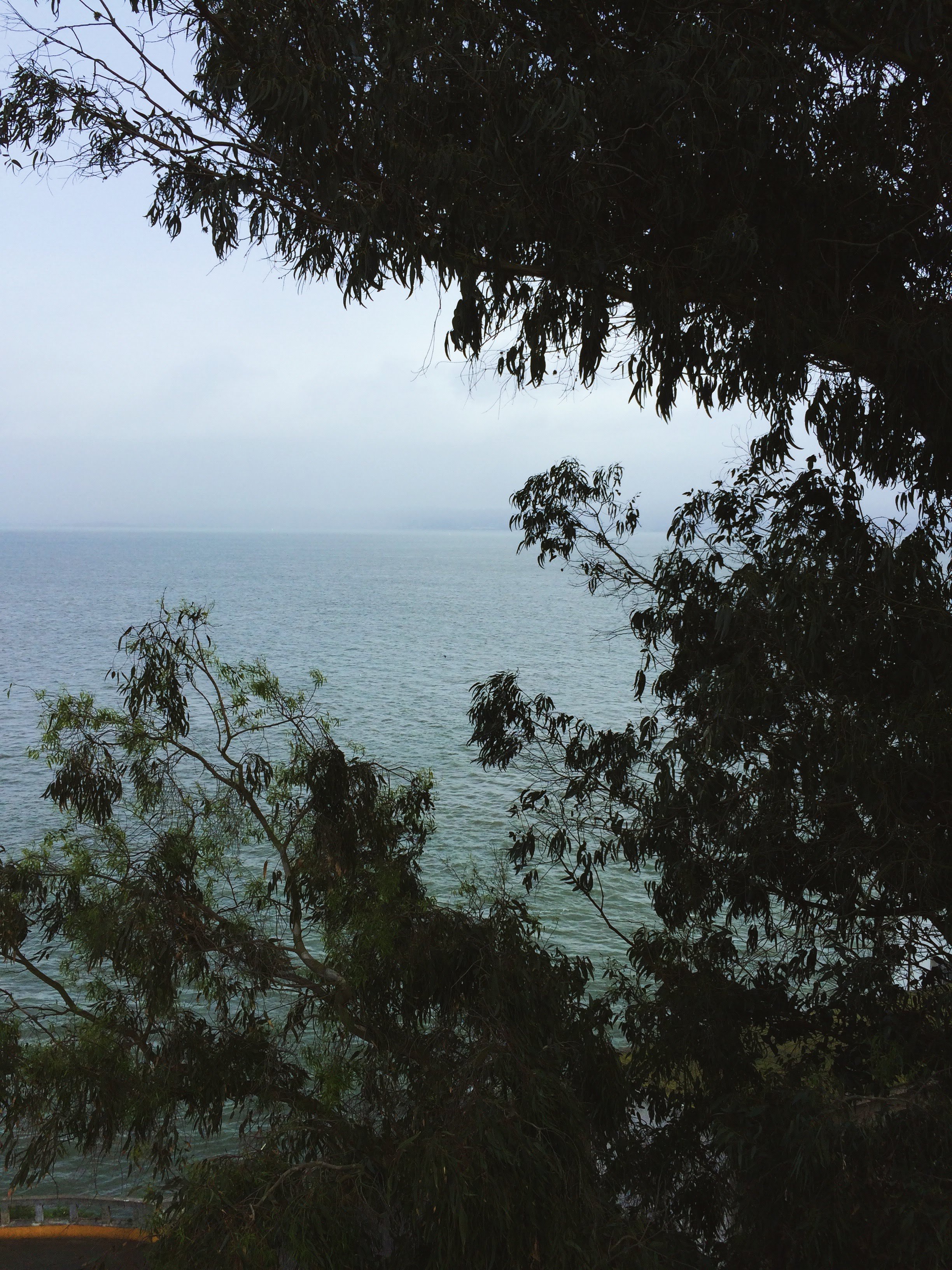 Lookout, Alcatraz, 2016