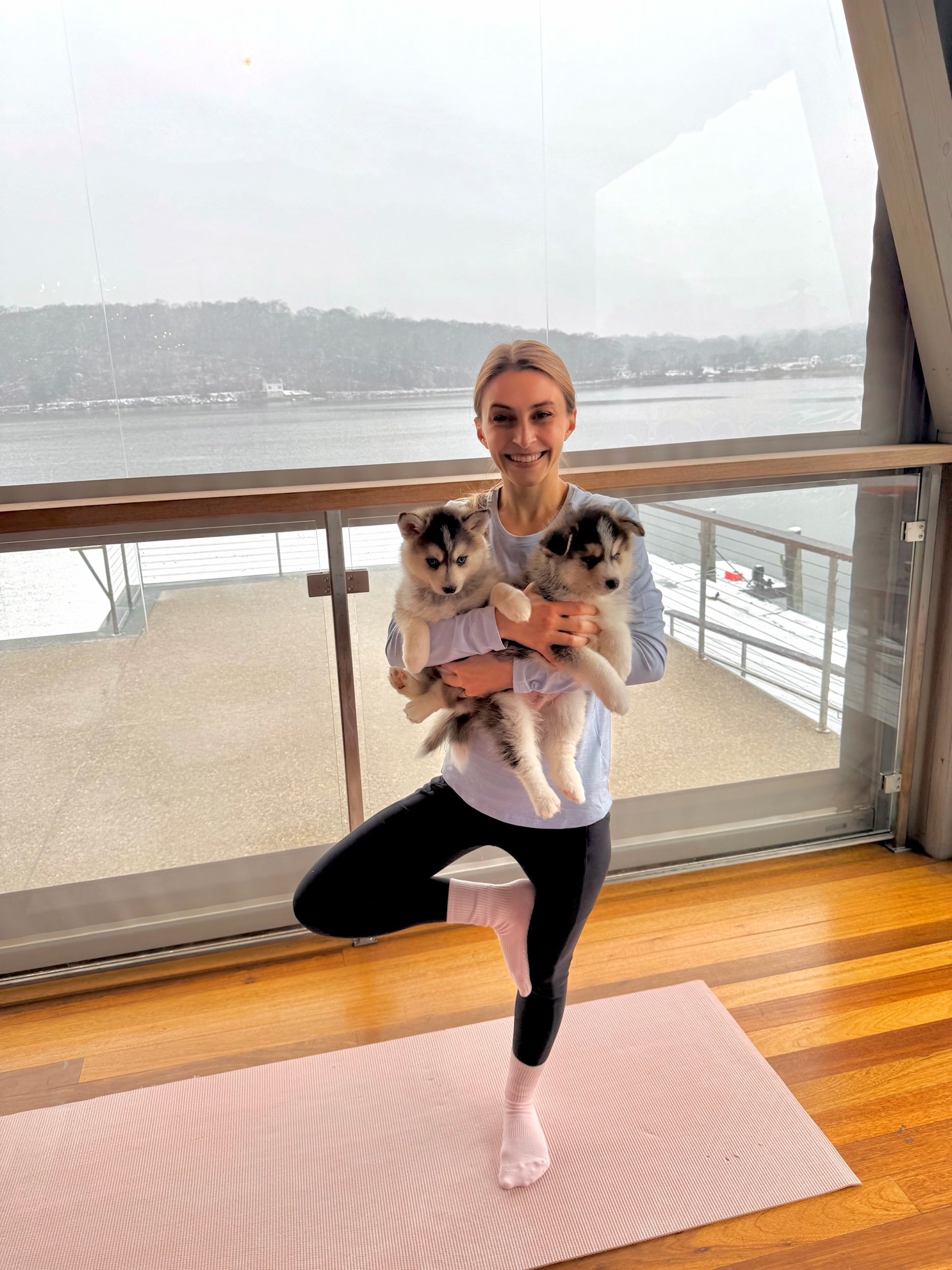 Puppy Yoga Ticket Delamar Mystic CT