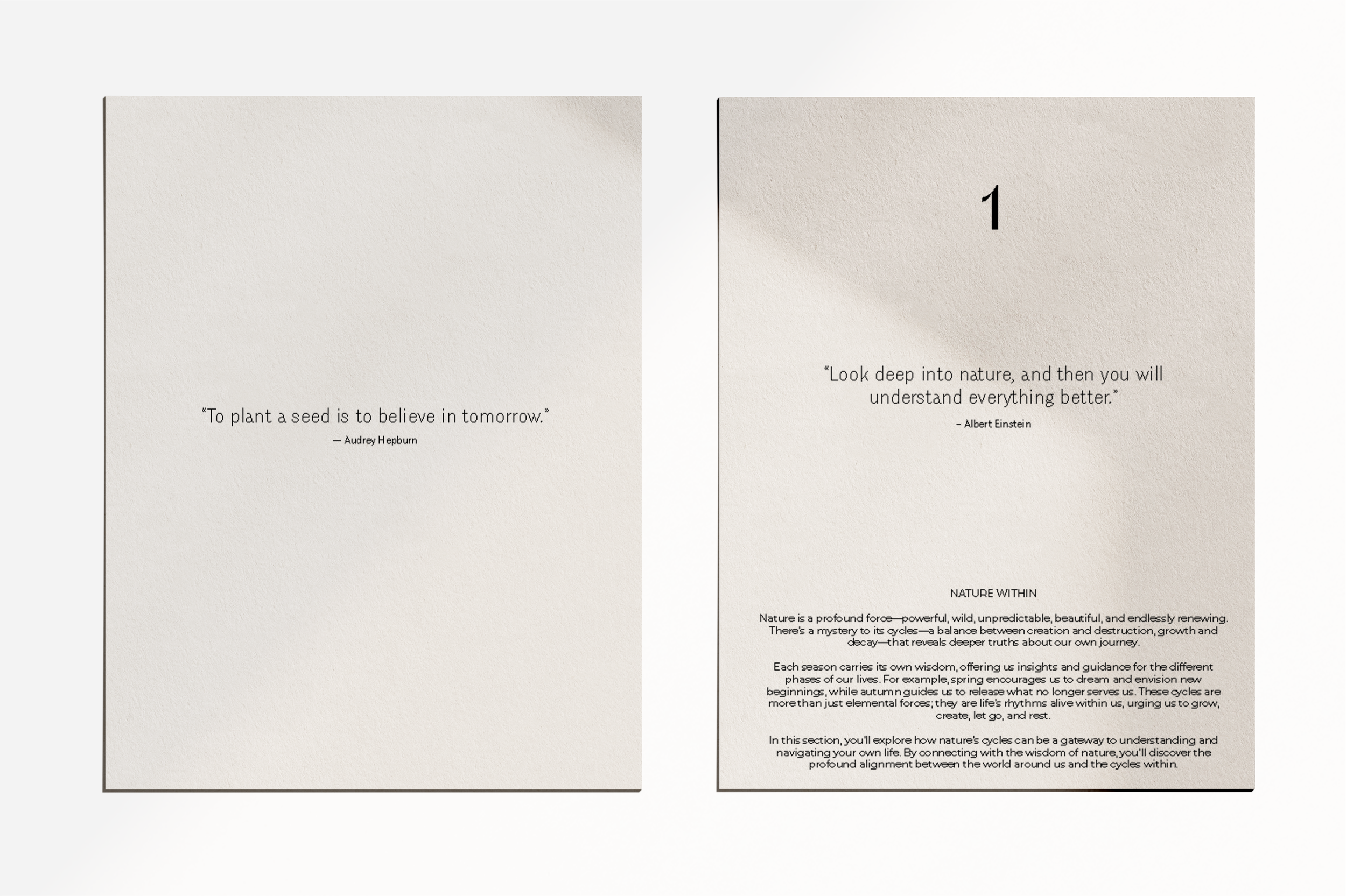 MODULE 1_QUOTE + CHAPTER 1.png