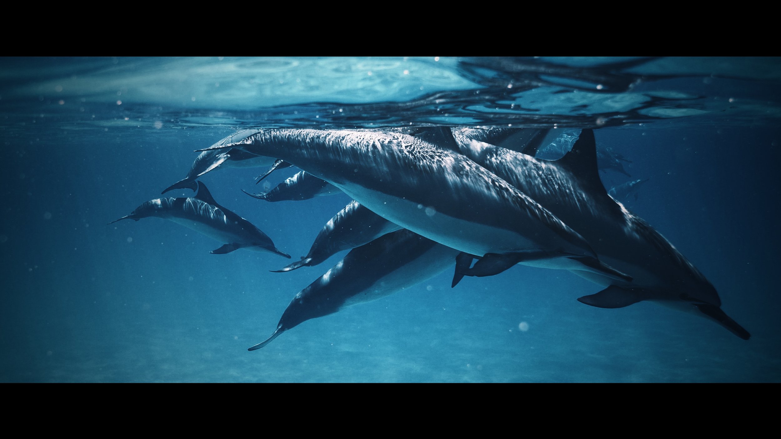 Still 2025-10-24 165305_2.44.2.jpg