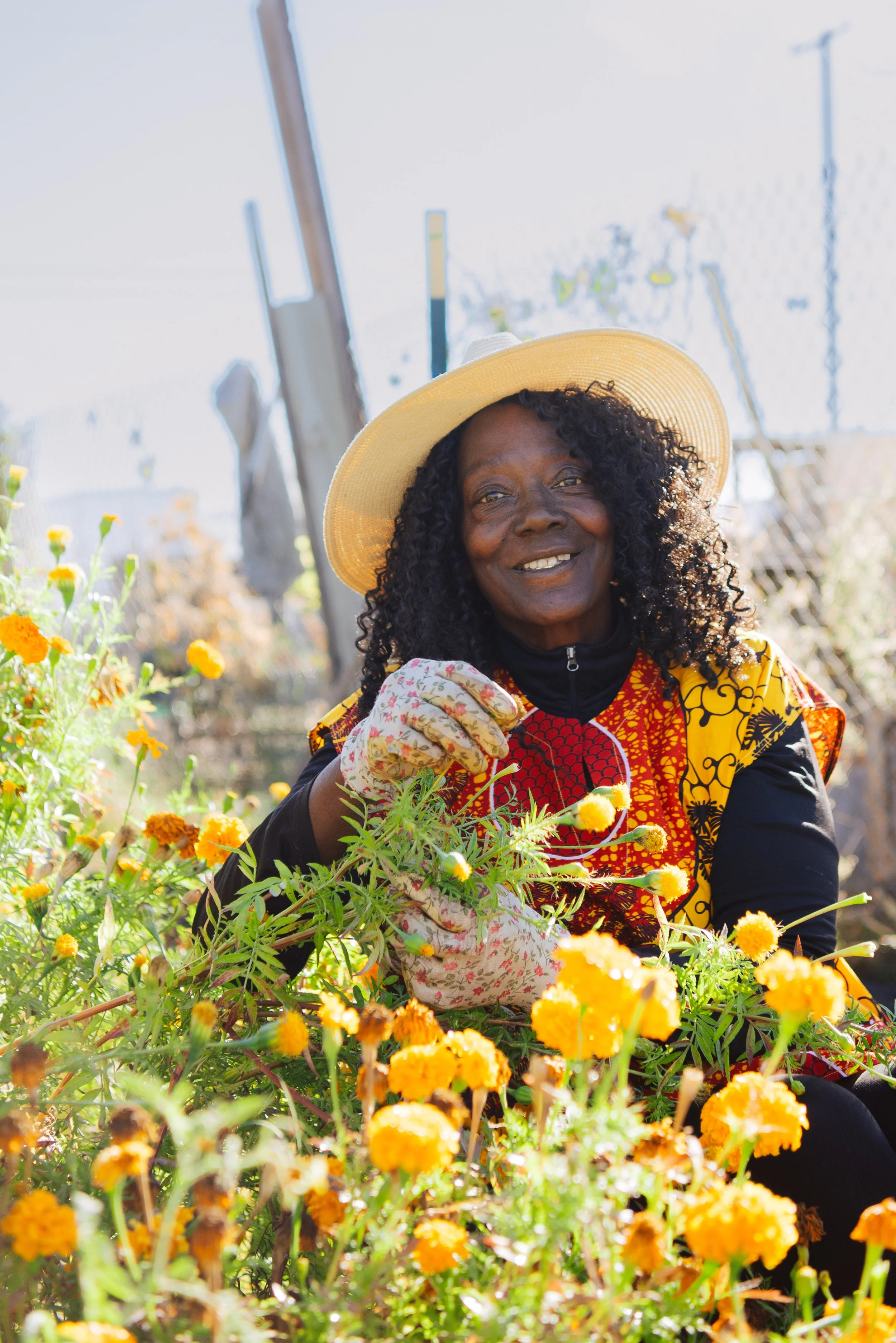 Seed to Skillet: Let Your Food be Your Medicine