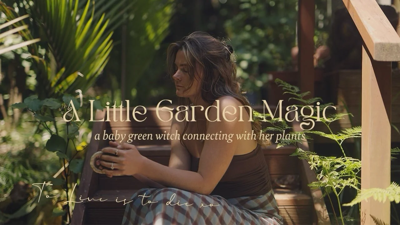 To live is to die again and again 🦋🌱🧚&zwj;♀️🌞

&ldquo;Oceans embrace continents, space welcomes sun&rdquo; 
Embrace who you are and who you are becoming with the same generosity of nature. Nothing in nature is ever wasted. What dies is composted 
