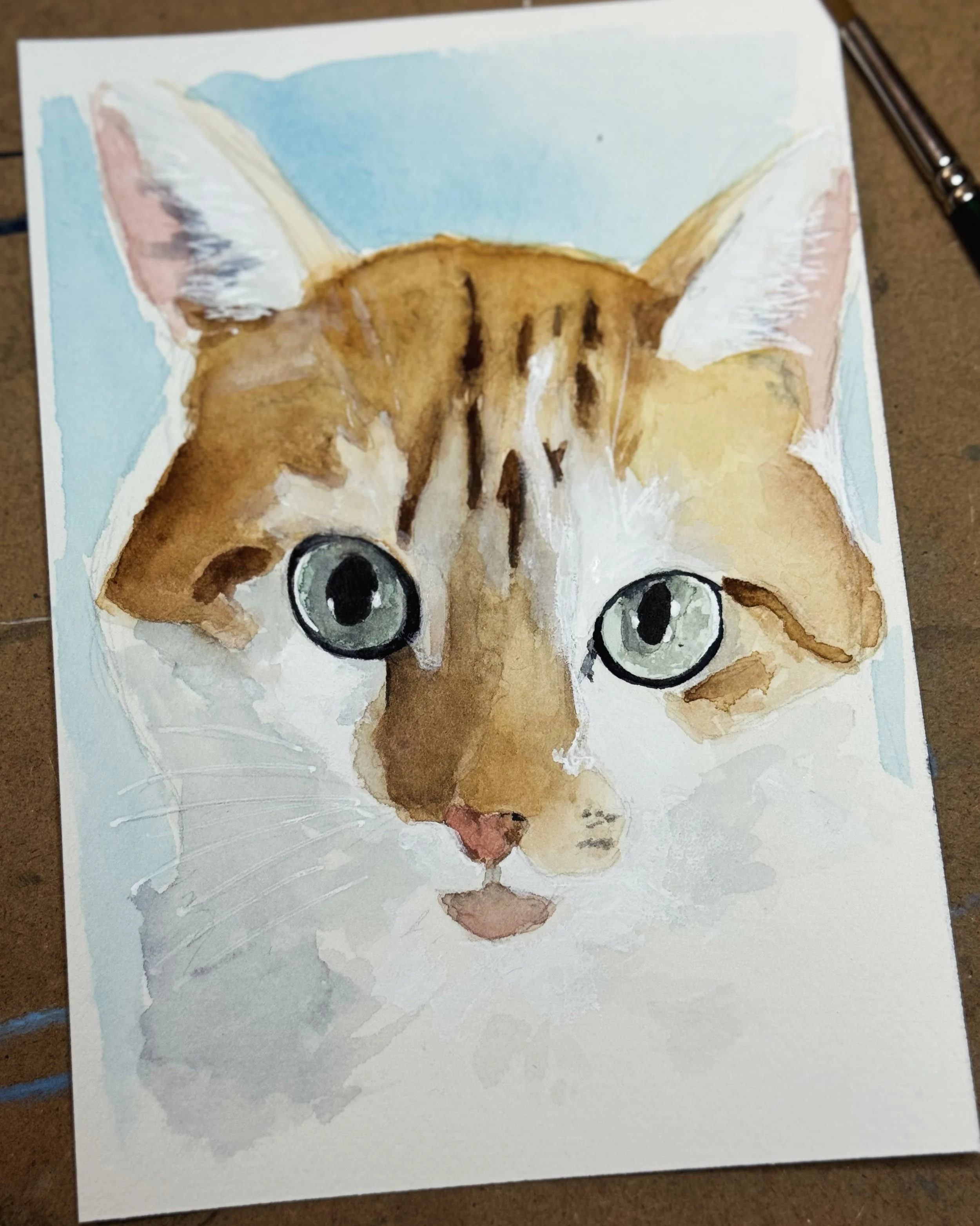 A2F474FF-C251-4A3D-BA64-5A034F55B6A5.jpg