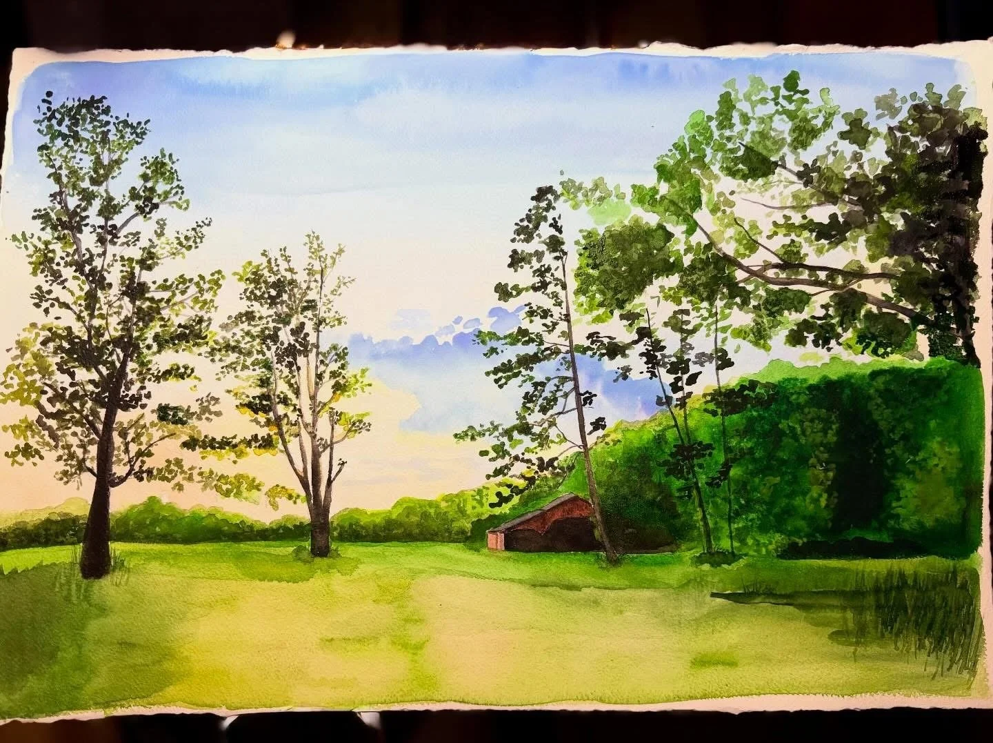 IMG_1300.JPG