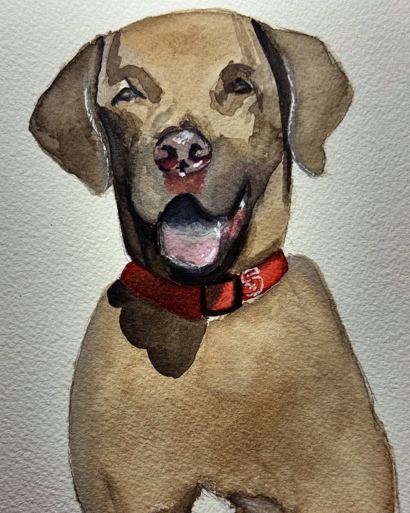 Pet Portrait