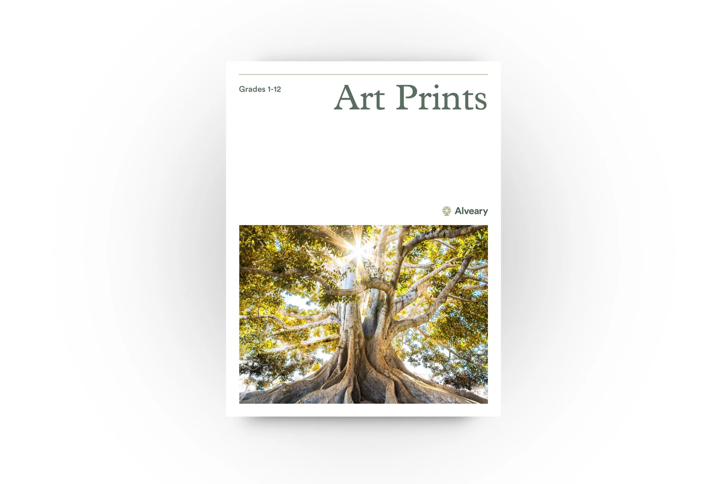 Alveary Art Prints