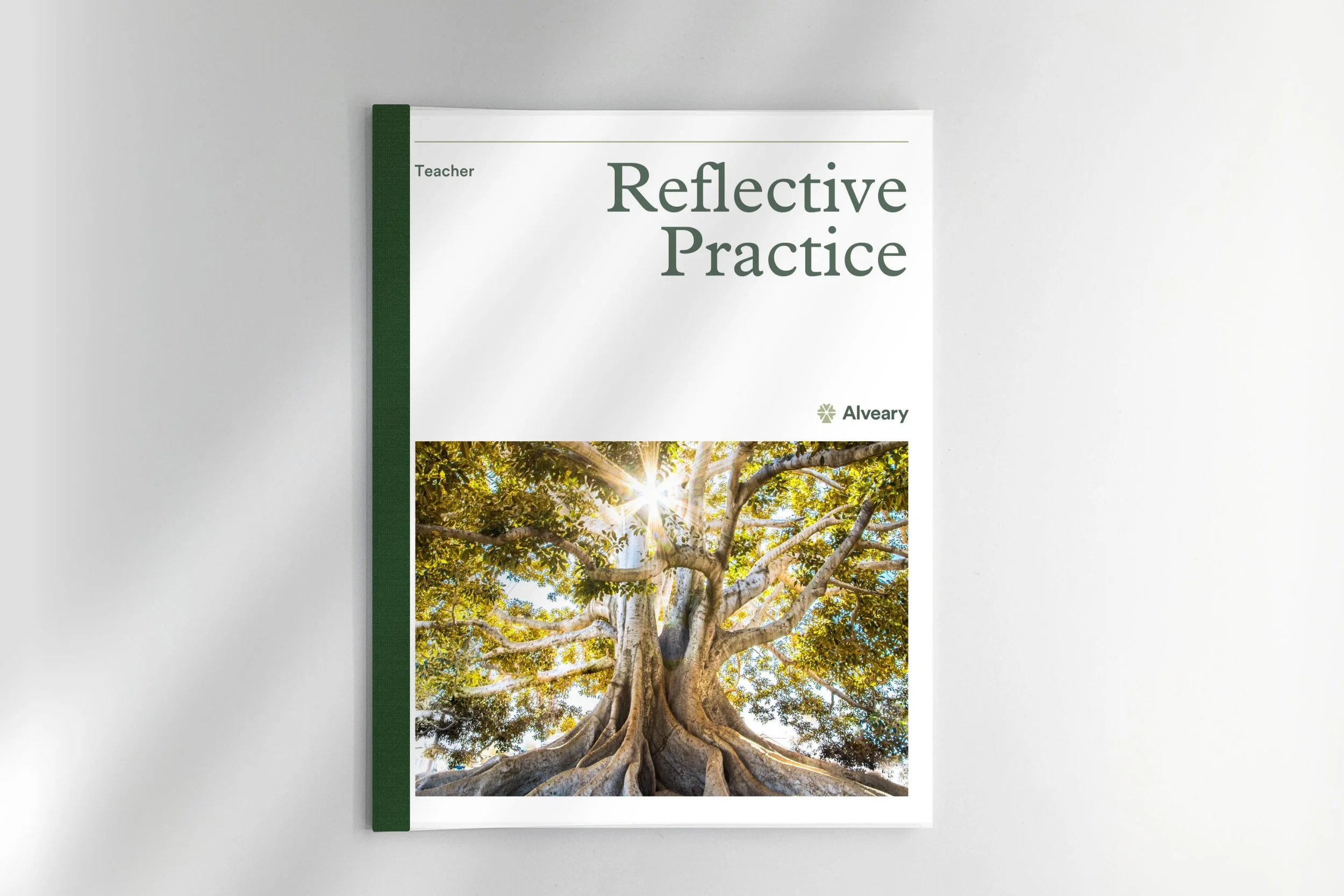 Reflective Practice (Teacher Edition)