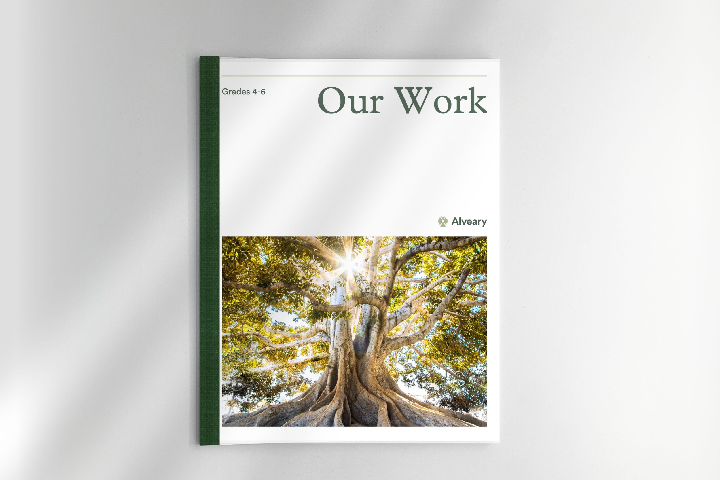 Our Work: Grades 4-6