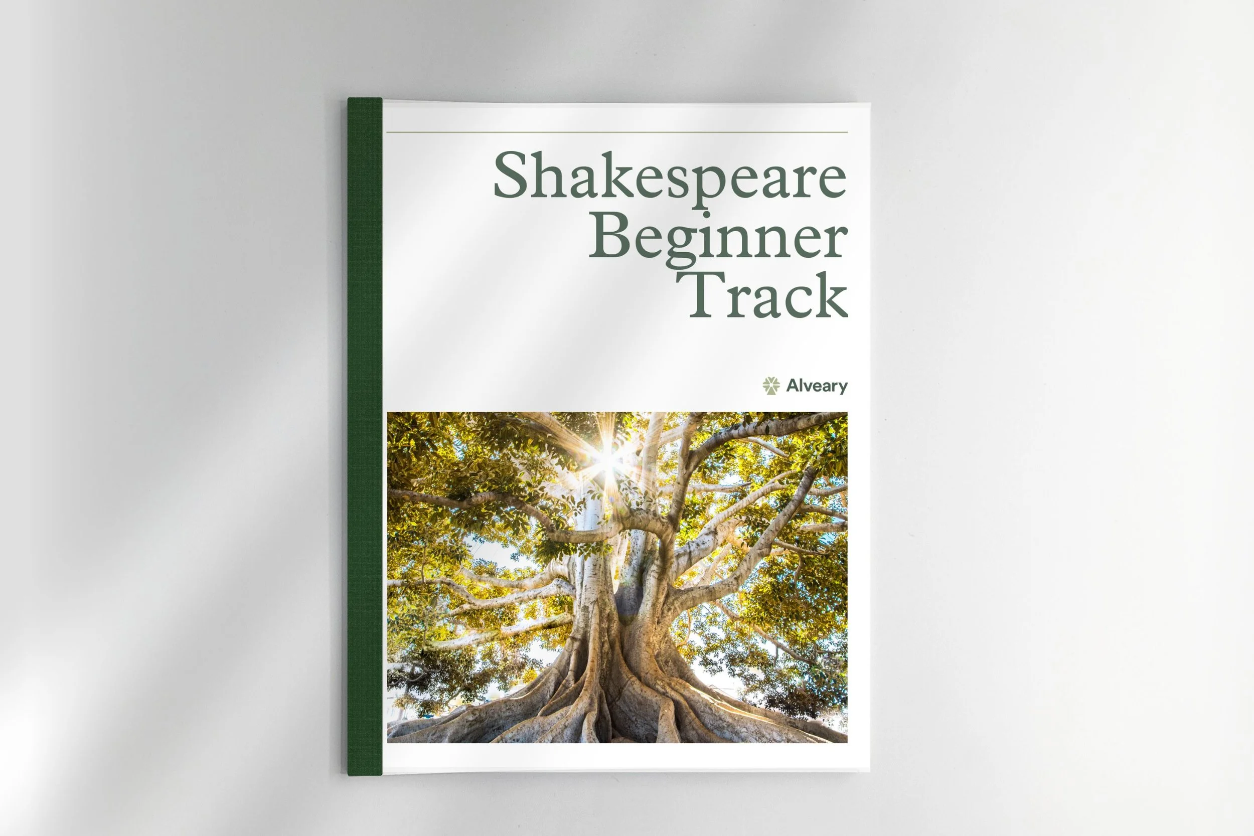 Shakespeare Beginner Track Lesson Plans