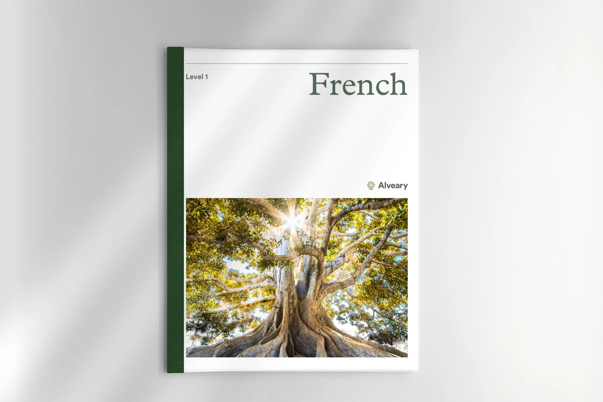 French: Level 1 (Extra Student)