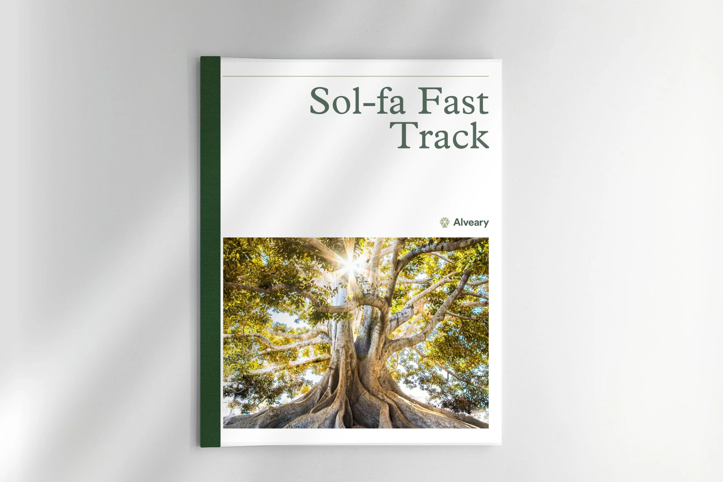 Sol-fa Fast Track Lesson Plans