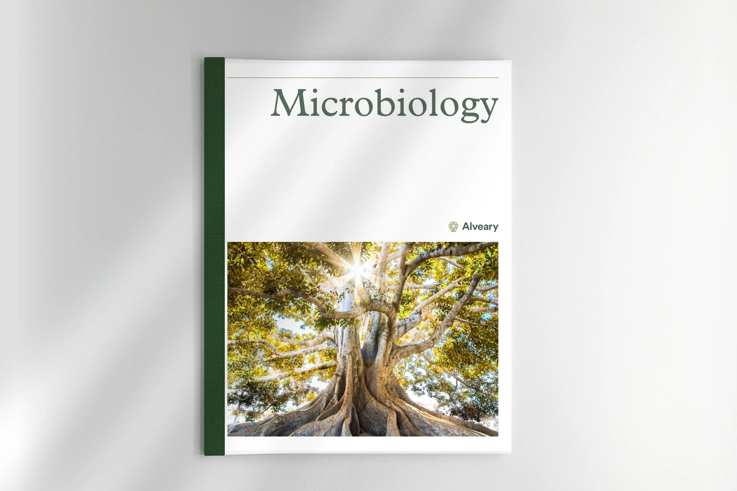 Microbiology Lesson Plans