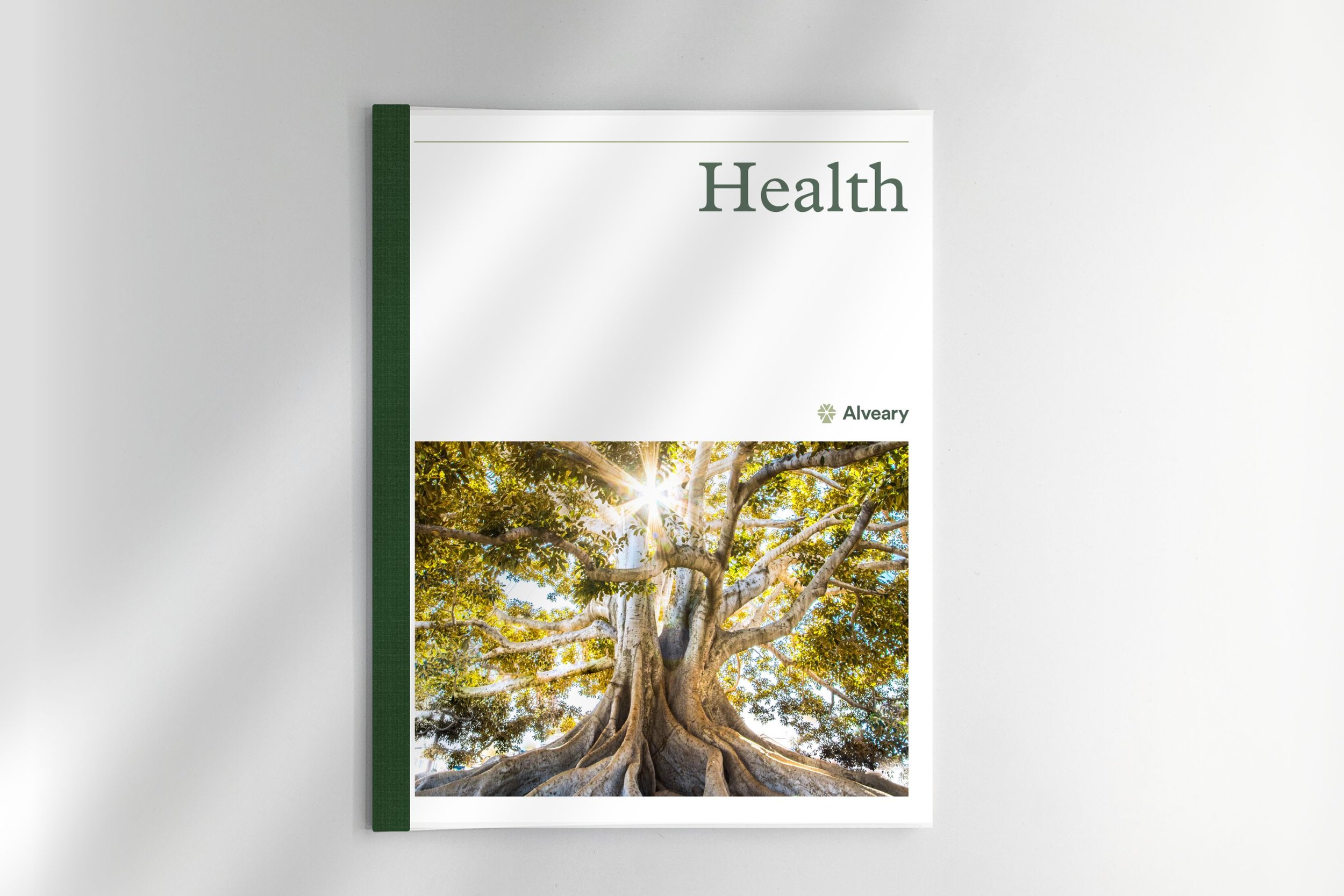 Health Elective (Beta) Lesson Plans