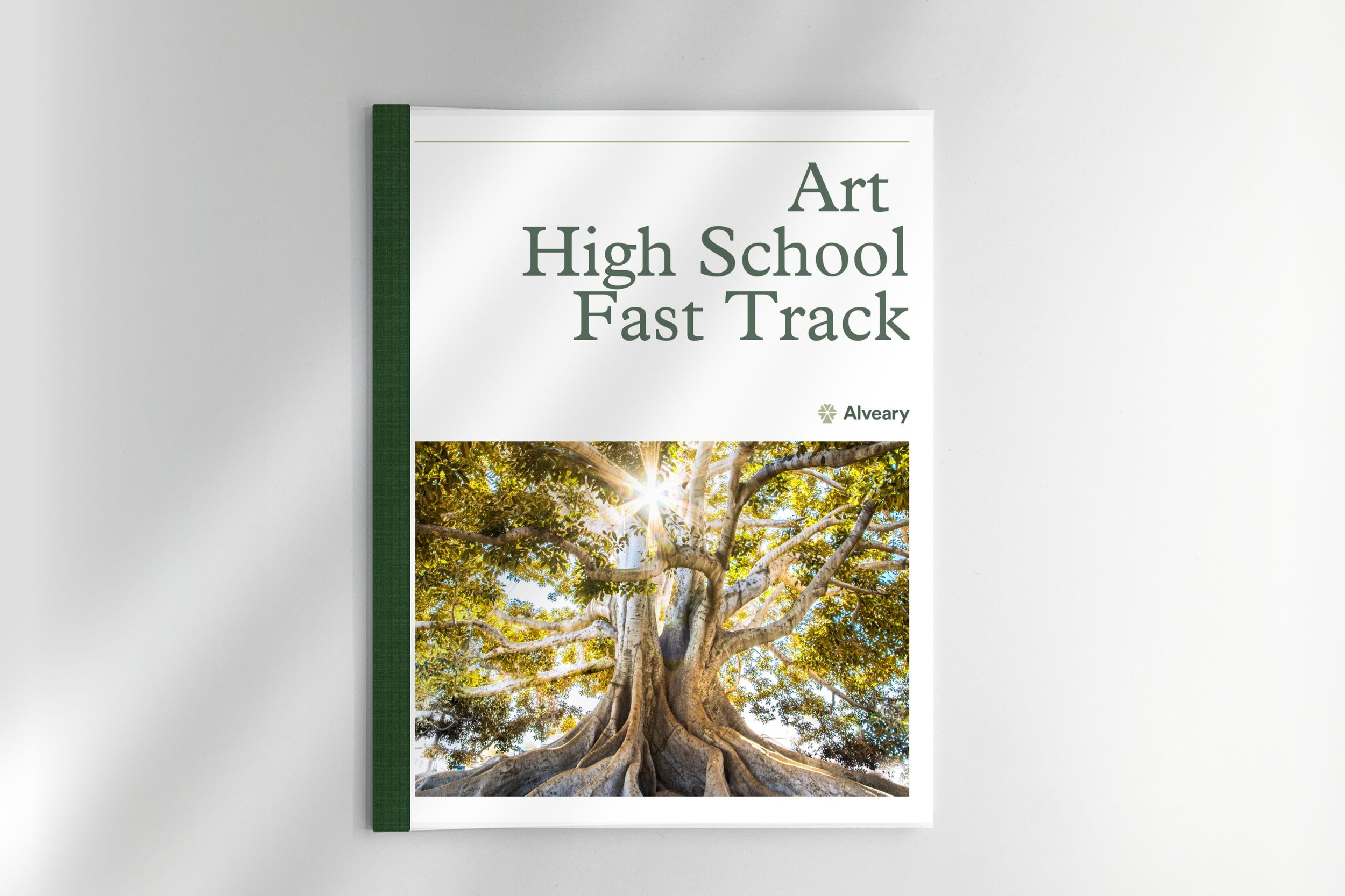 Art High School Fast Track