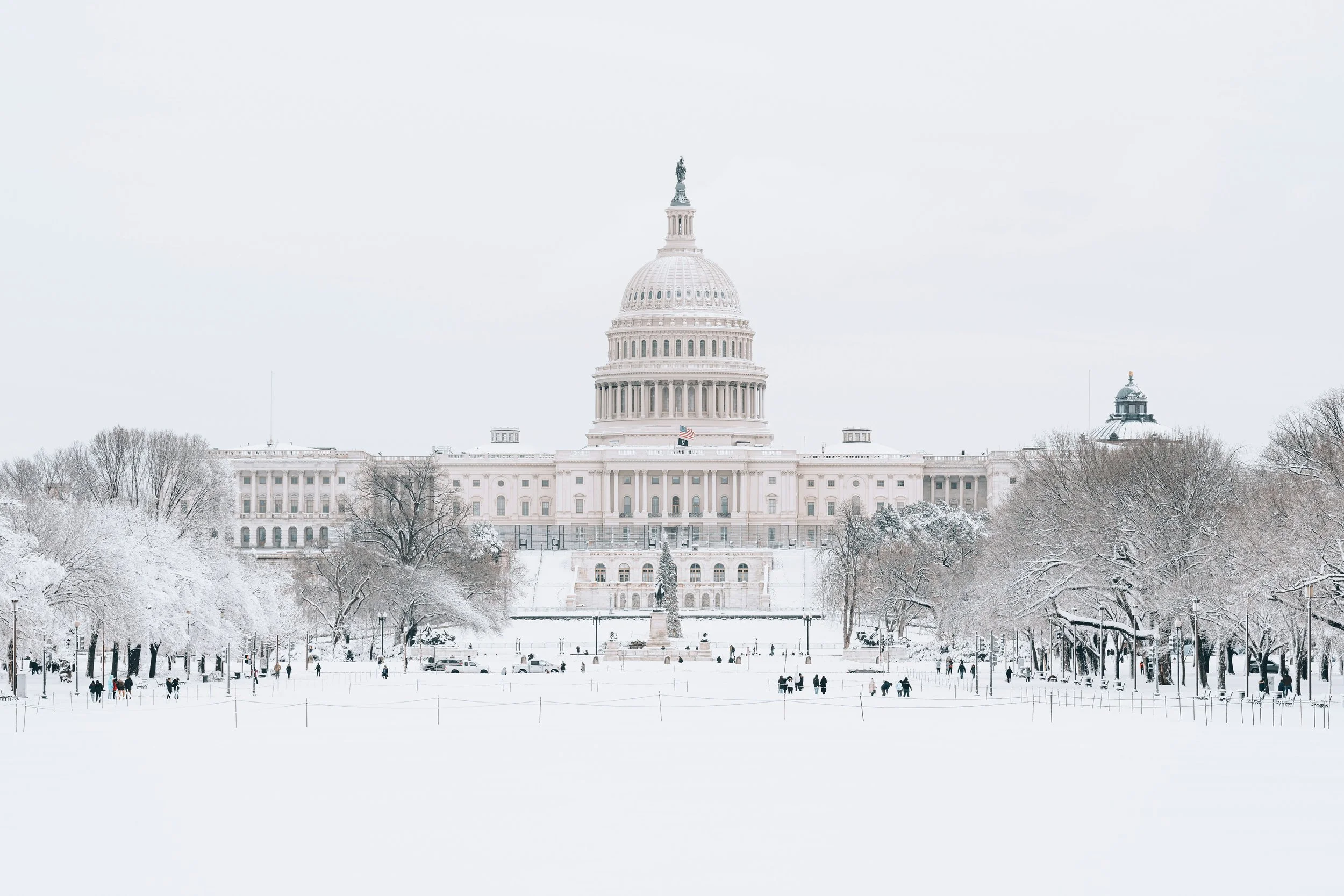 Vol. 1, Pt. 4: Separation of Powers in Immigration Governance