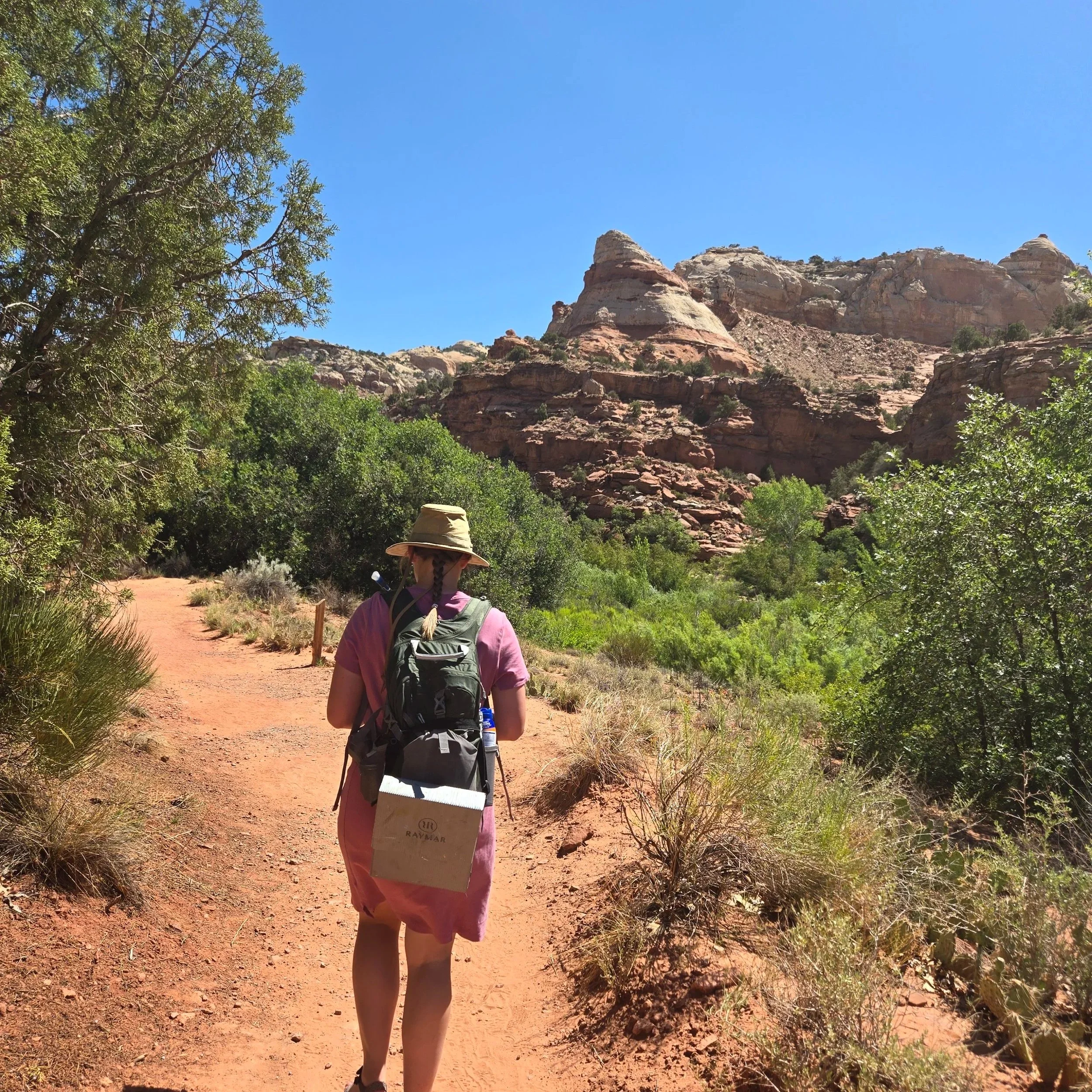 Artist Travels: Capitol Reef, Part 2
