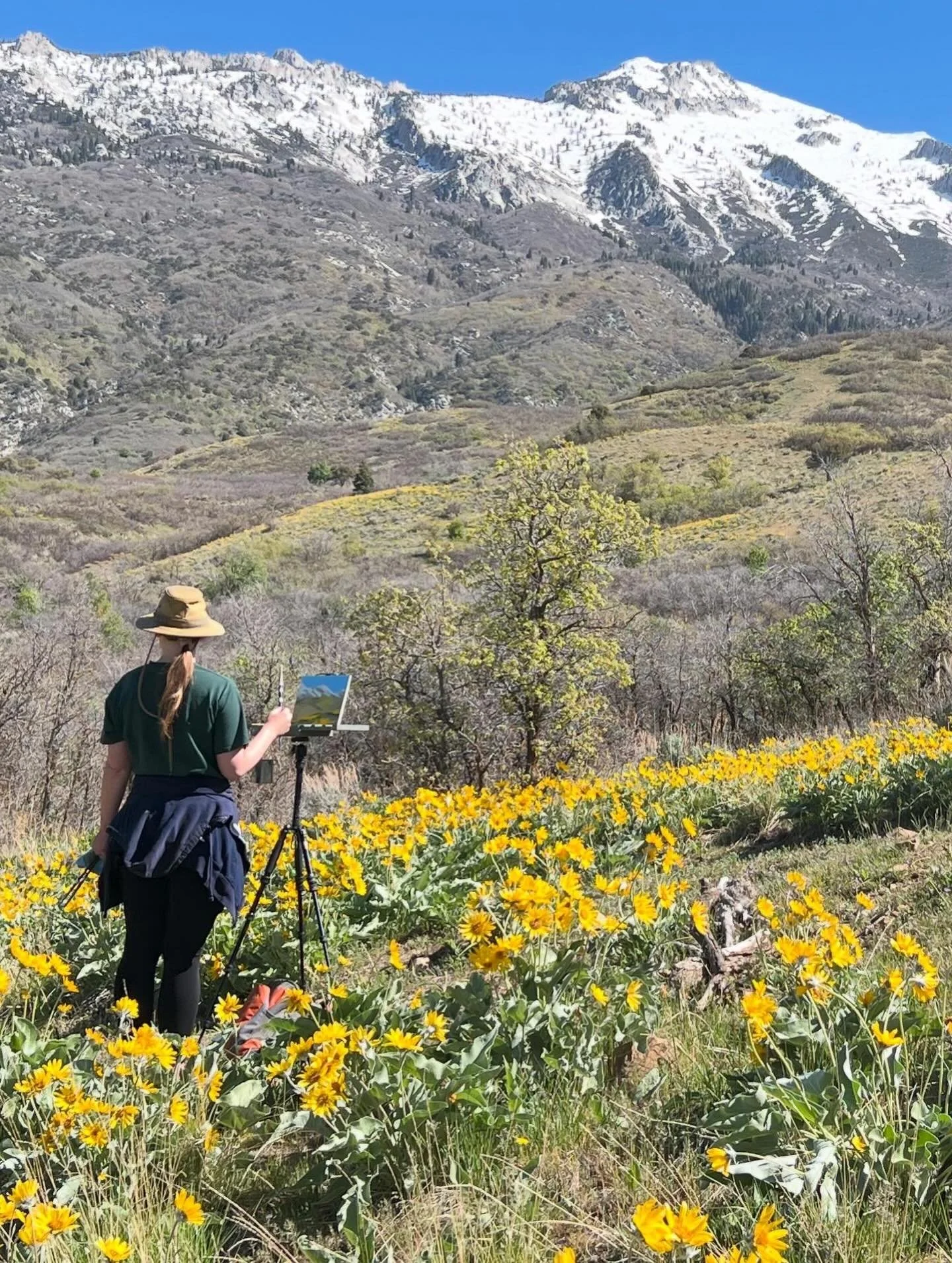 Happy new year! Just taking a moment to look back on the work completed in 2025. I finished some big paintings and did lots of plein air. The biggest event by far was moving and renovating a new studio for myself! I&rsquo;m excited for all the work t