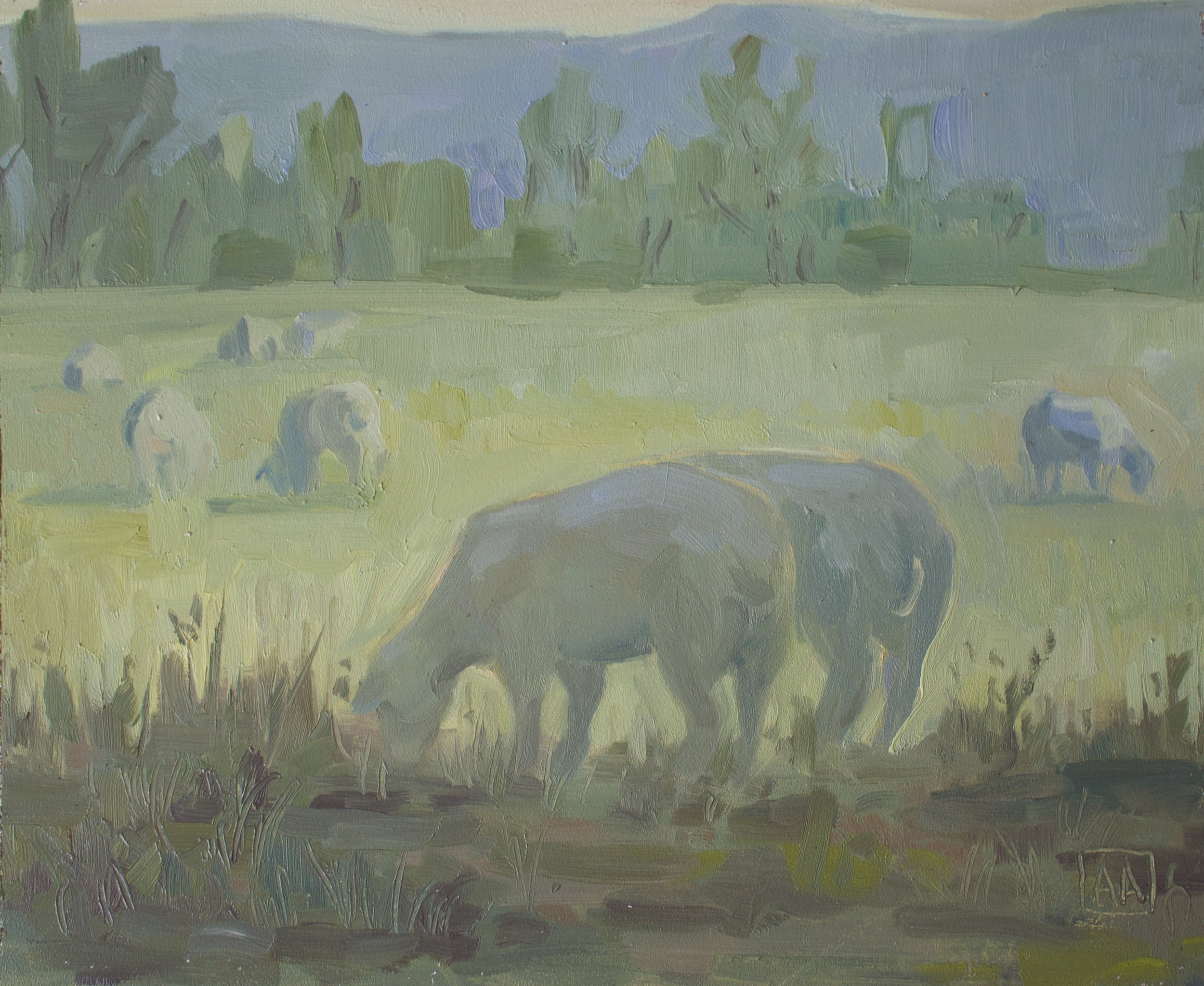 Morning in the Sheep Fields