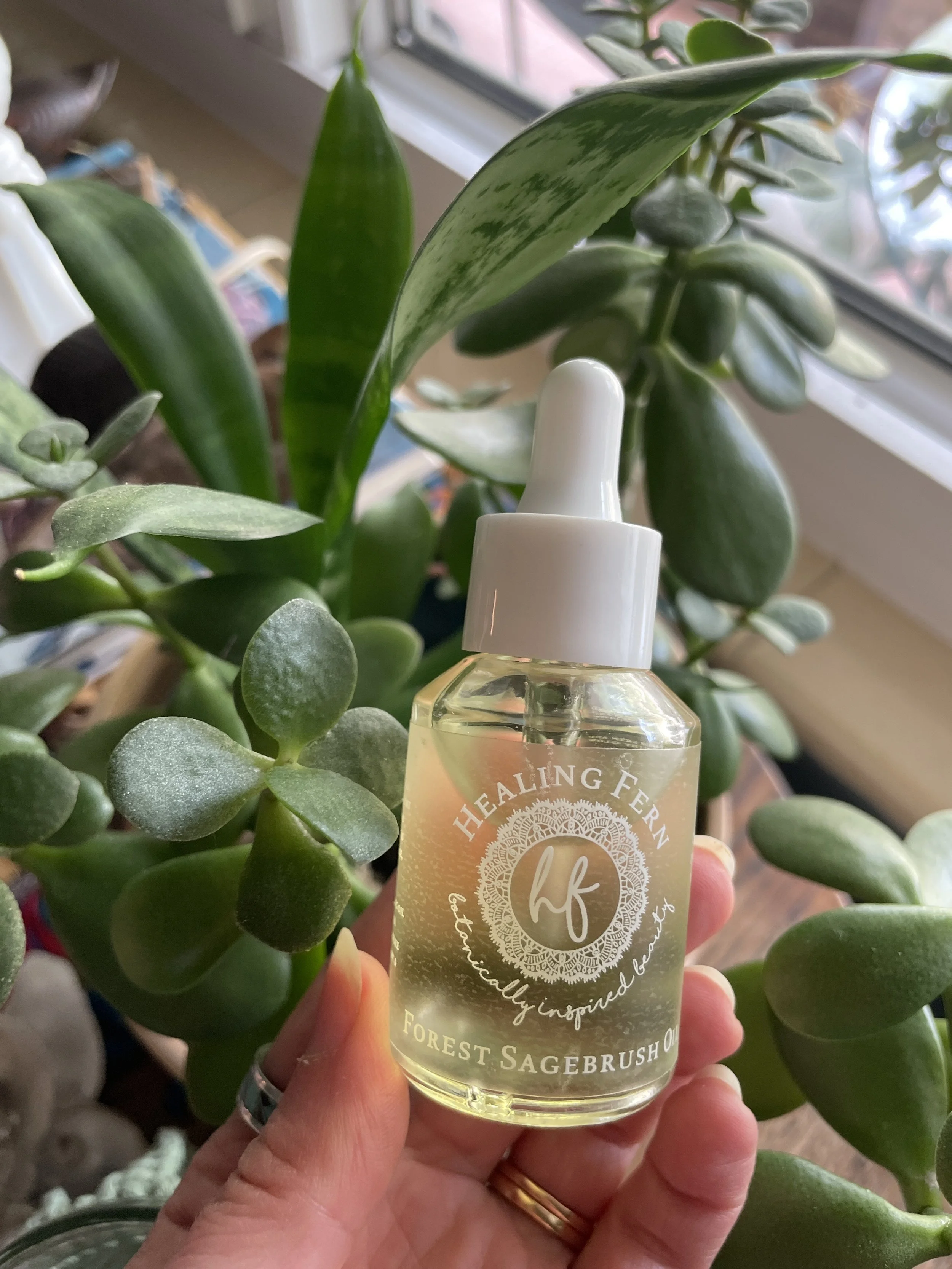 Forest Sagebrush jpeg.JPG