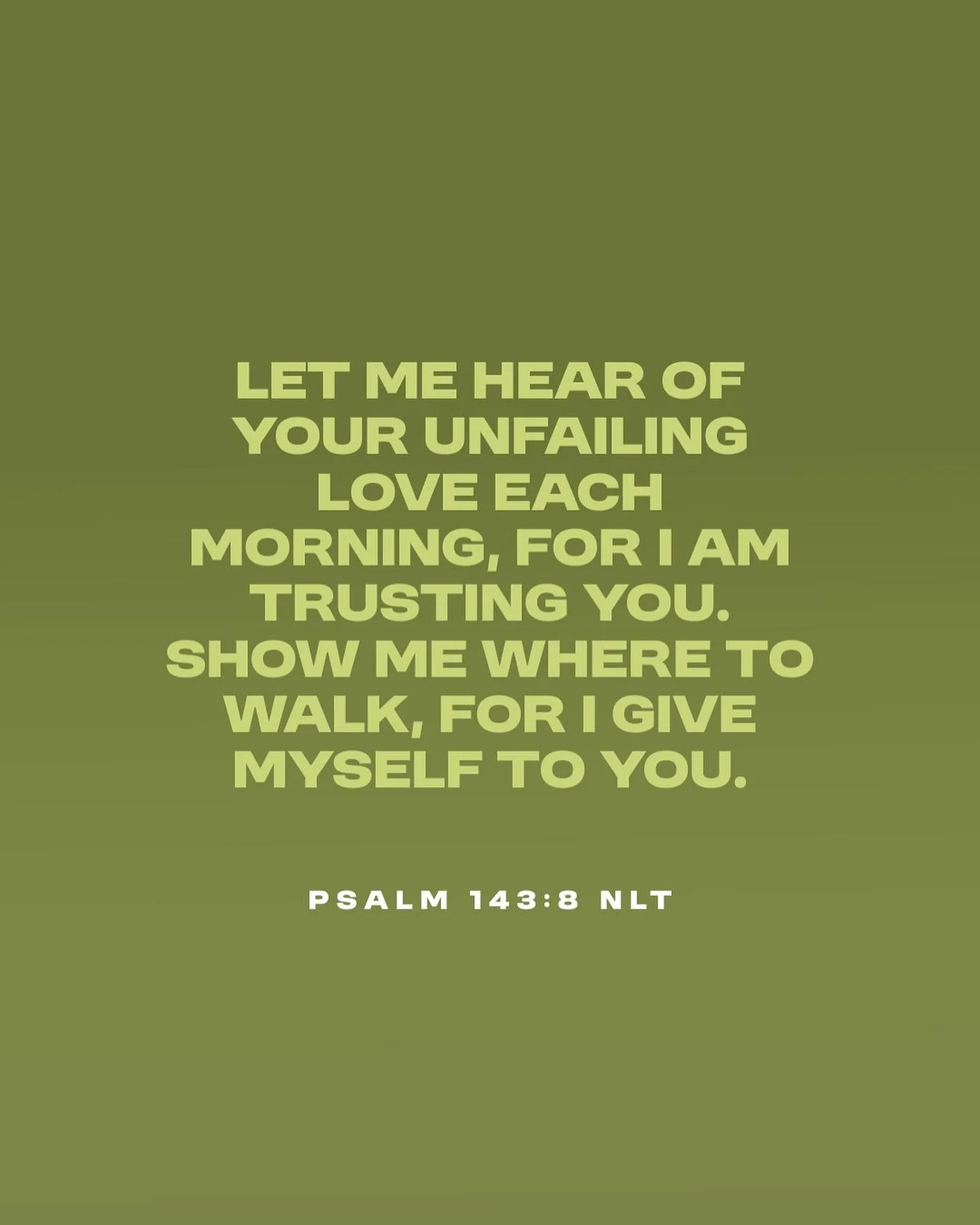 The Lord will guide our steps as we trust in him. Surrender to his leading 🐑 #Psalm143