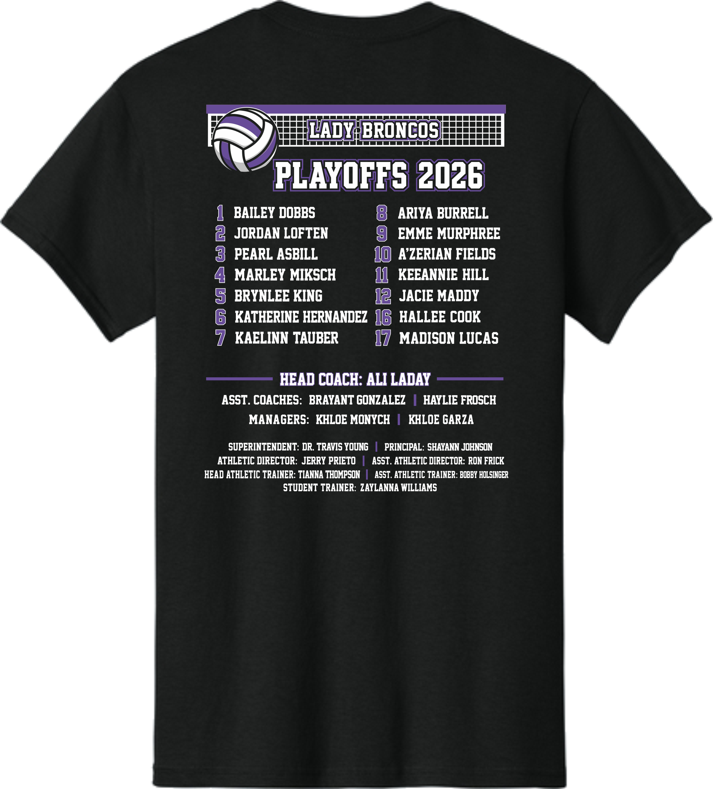 DHS Volleyball - Playoffs 2026 - Back.png