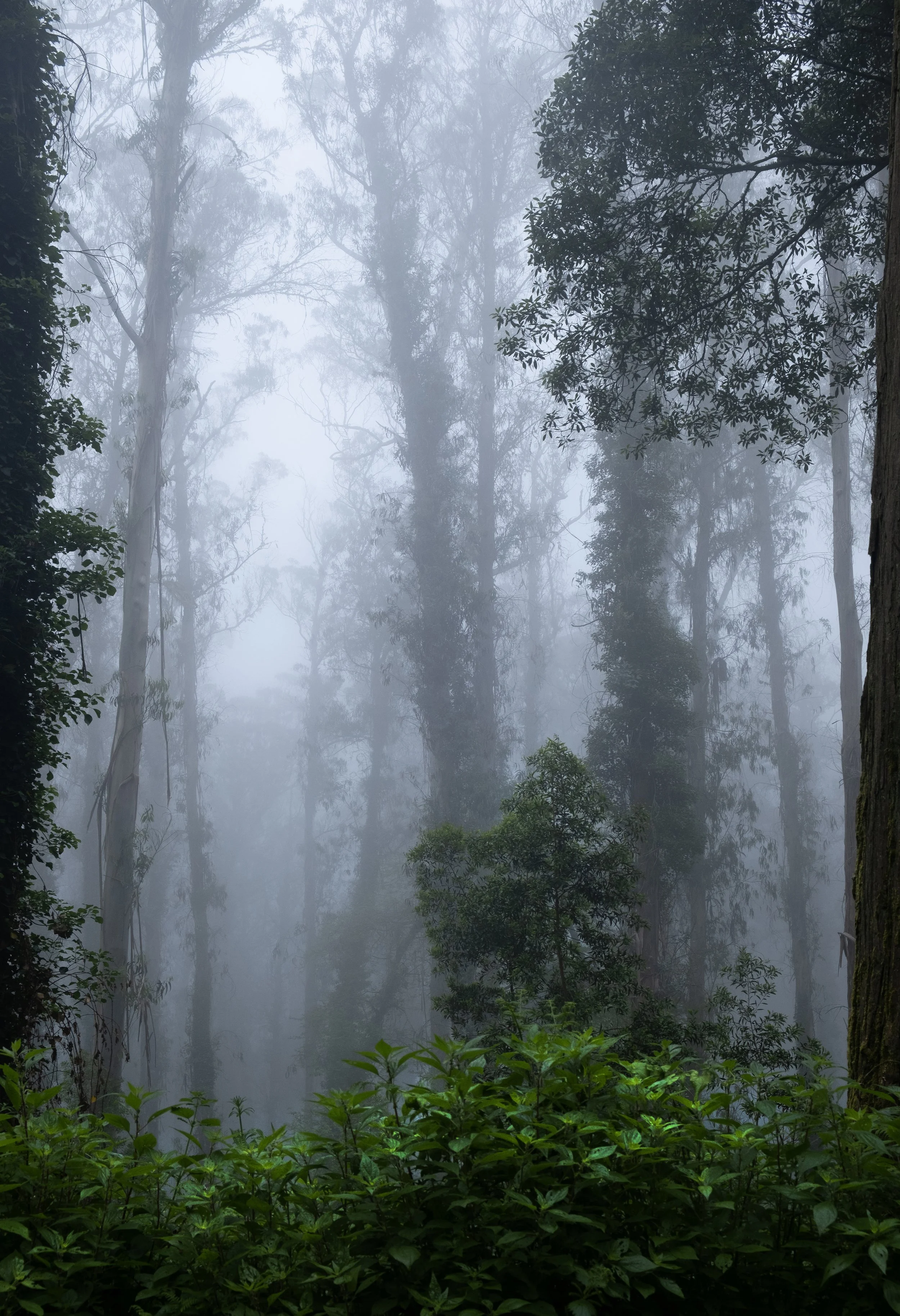 Where the Earth Still Breathes