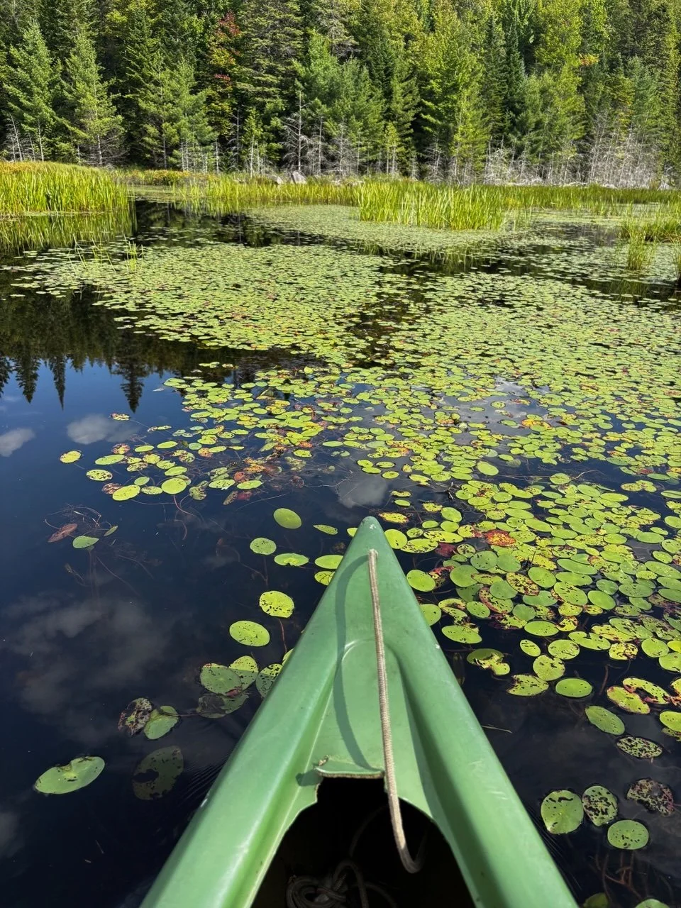 Linda’s Fall Masterclass: Water as Metaphor