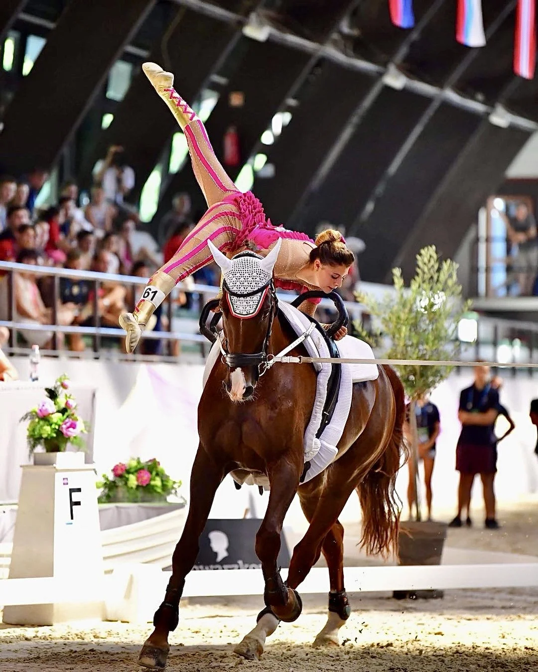 Vaulting