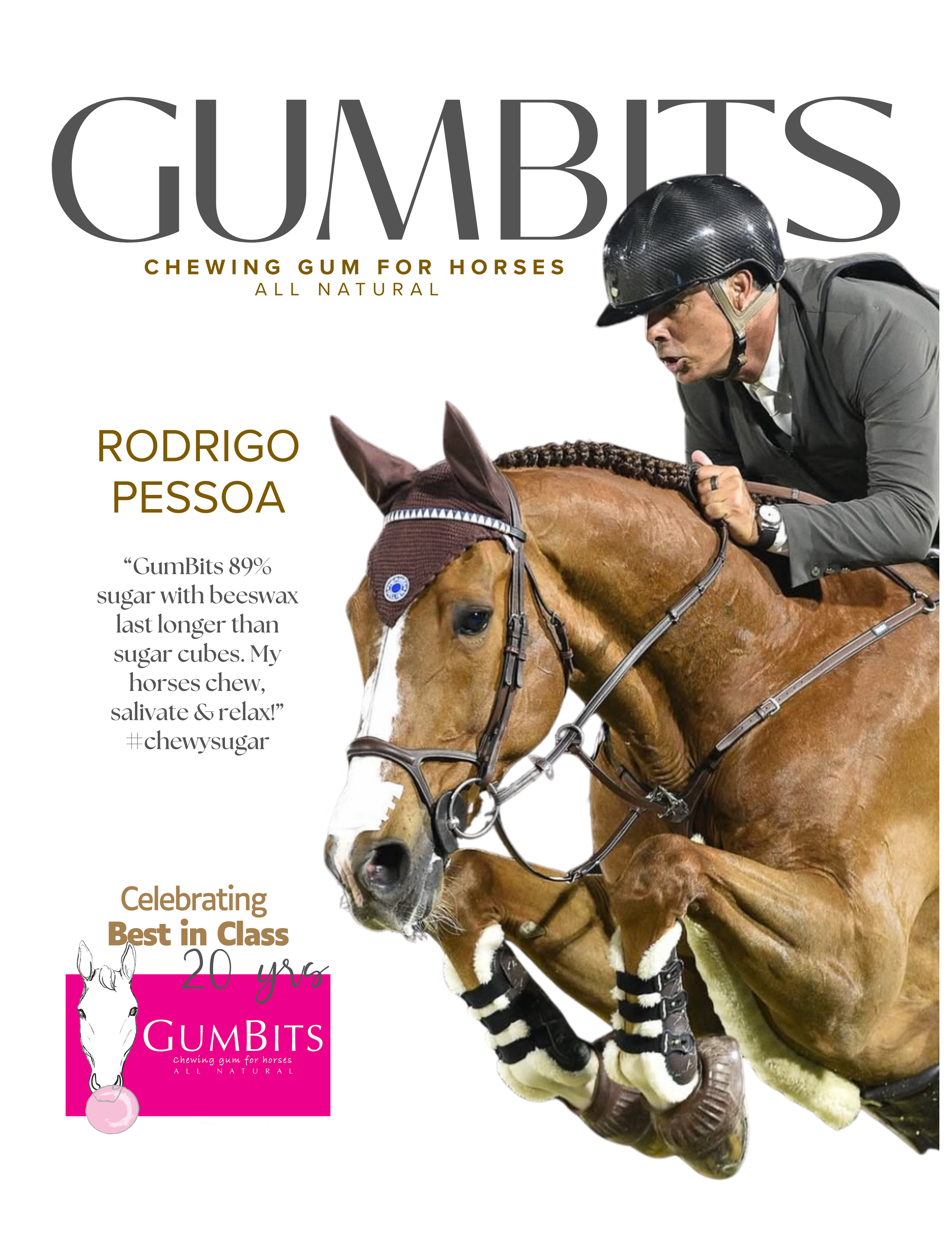 Rodrigo Pessoa of Brasil