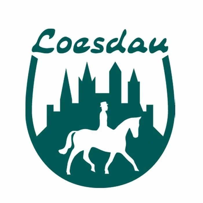 Logo für Coasdau mit der Silhouette einer Person auf einem Pferd vor einer stilisierten Burg oder Stadtsilhouette.