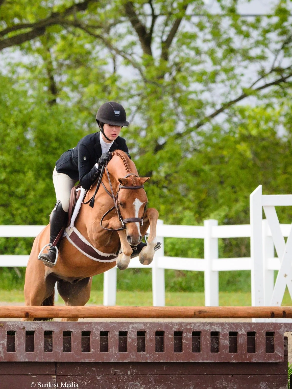 A person in equestrian riding gear and a helmet riding a horse over a jump in a show jumping competition outdoors with trees in the background.